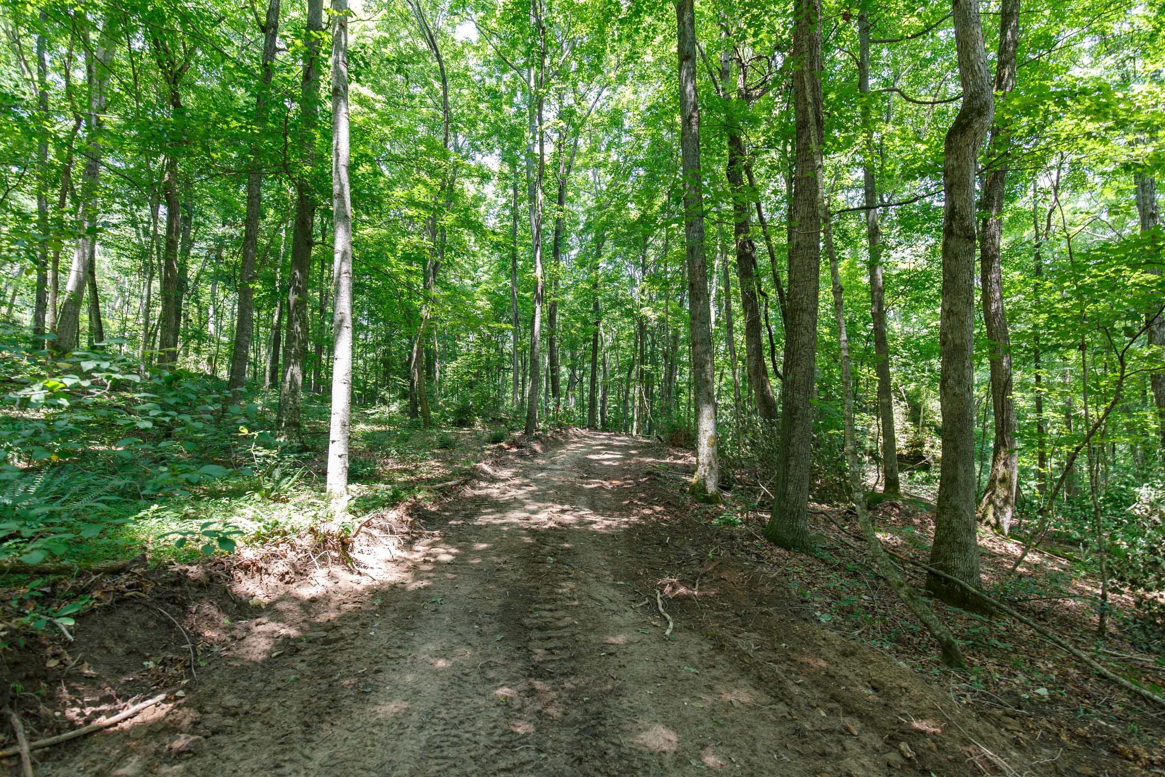 Rolling Hills Tract 10 photo 9