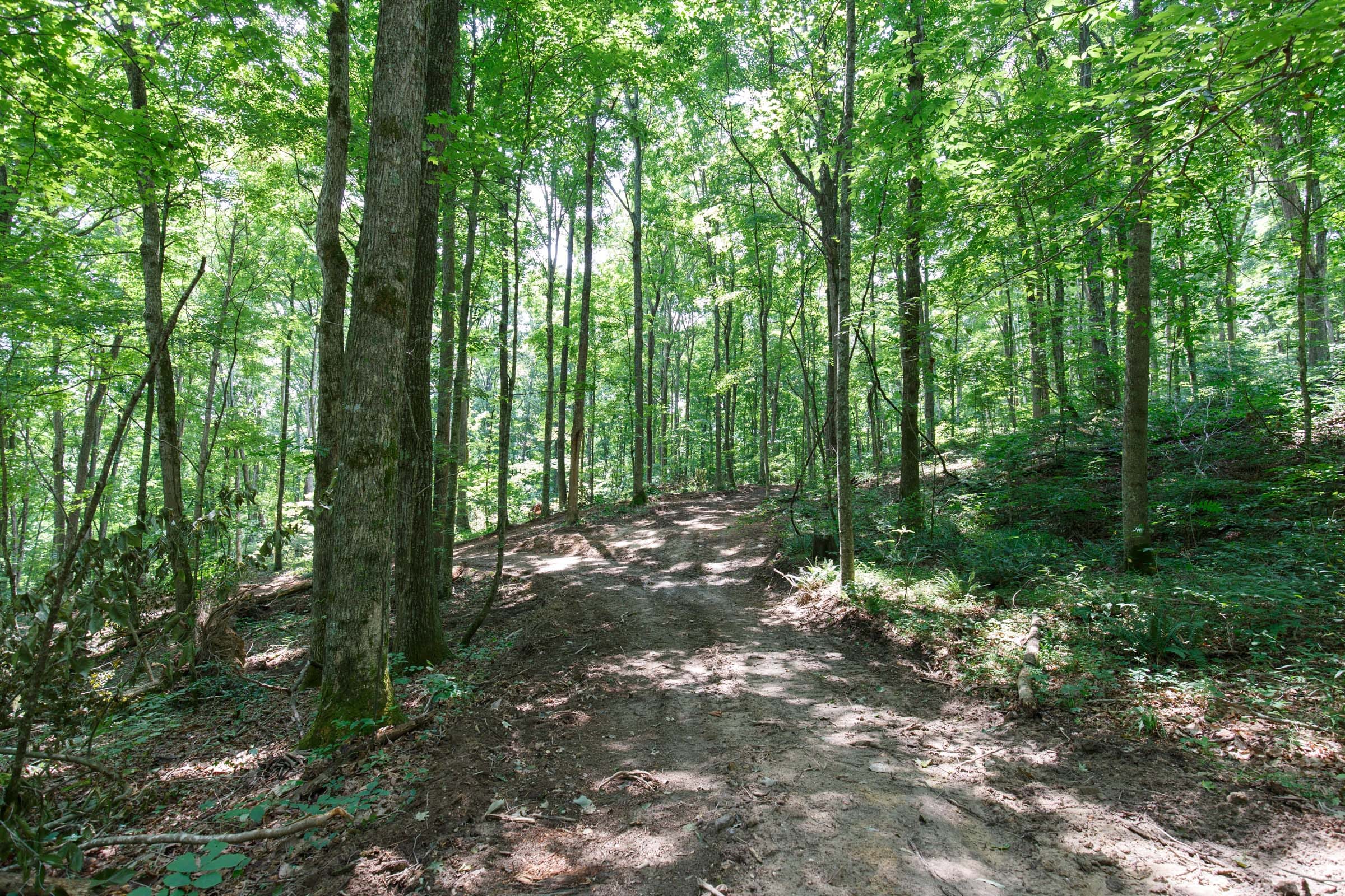 Rolling Hills Tract 10 photo 12