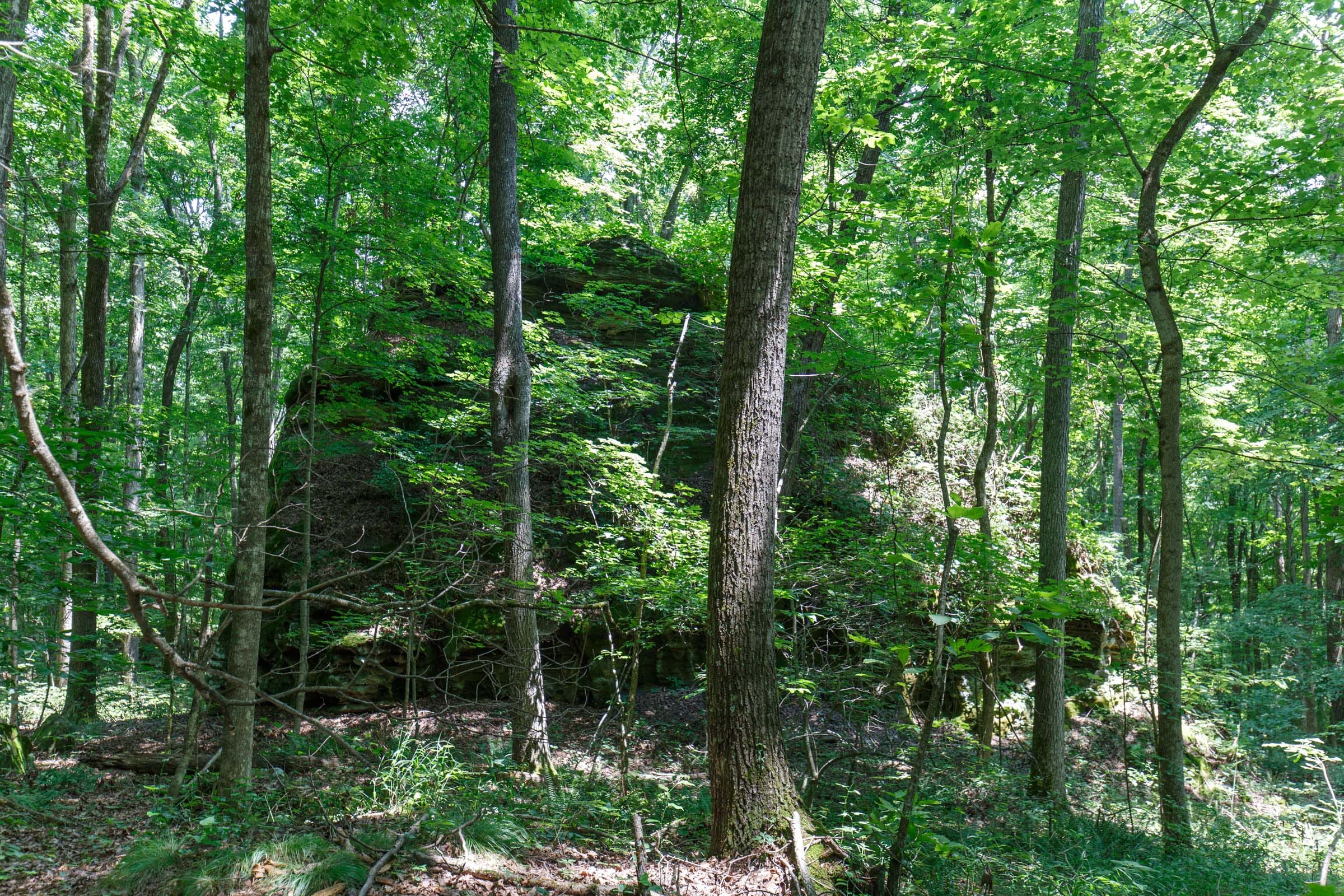 Rolling Hills Tract 10 photo 14
