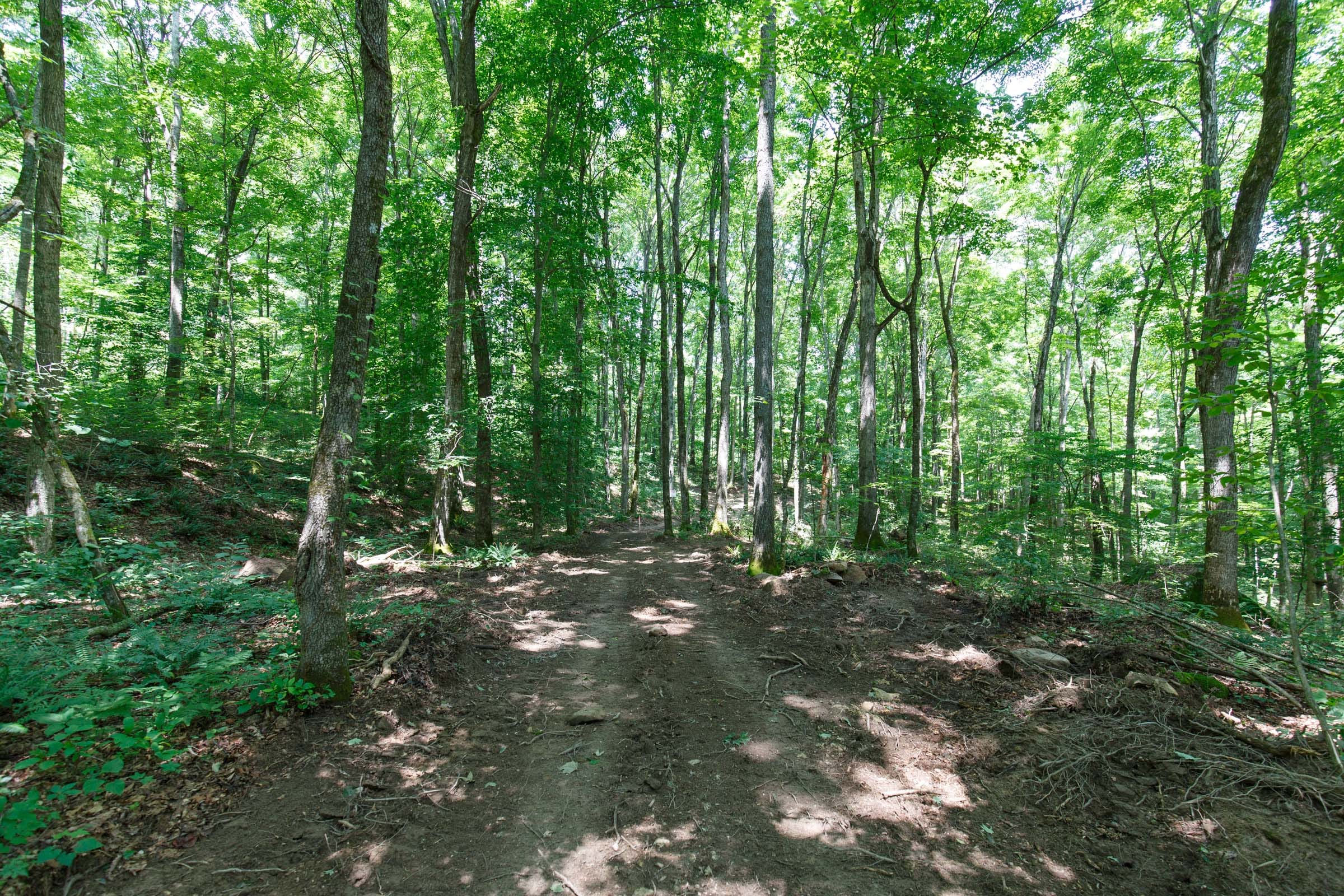 Rolling Hills Tract 10 photo 15