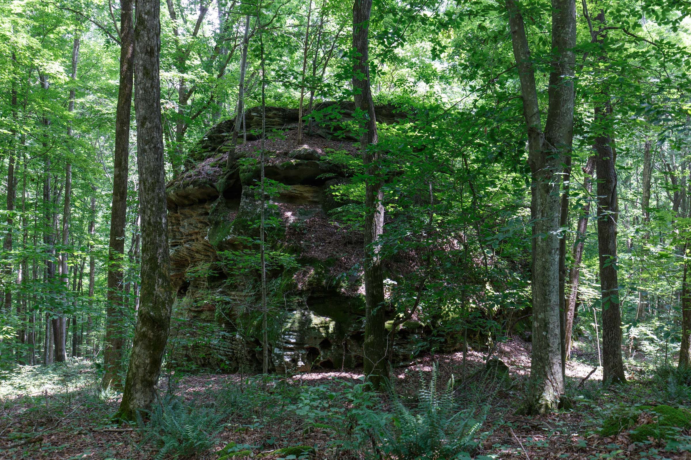 Rolling Hills Tract 10 photo 3