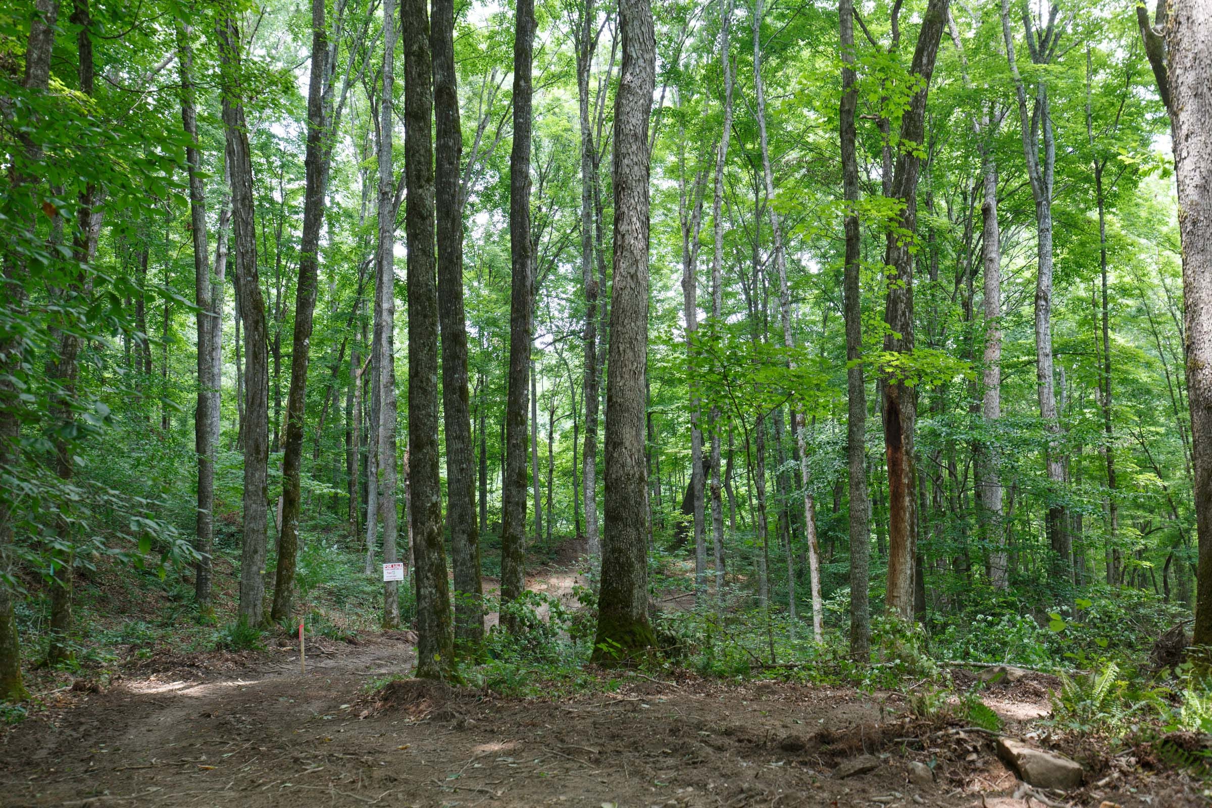 Rolling Hills Tract 10 photo 17