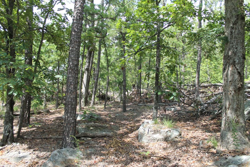 Trophy Ridge Phase III Tract 12 photo 8