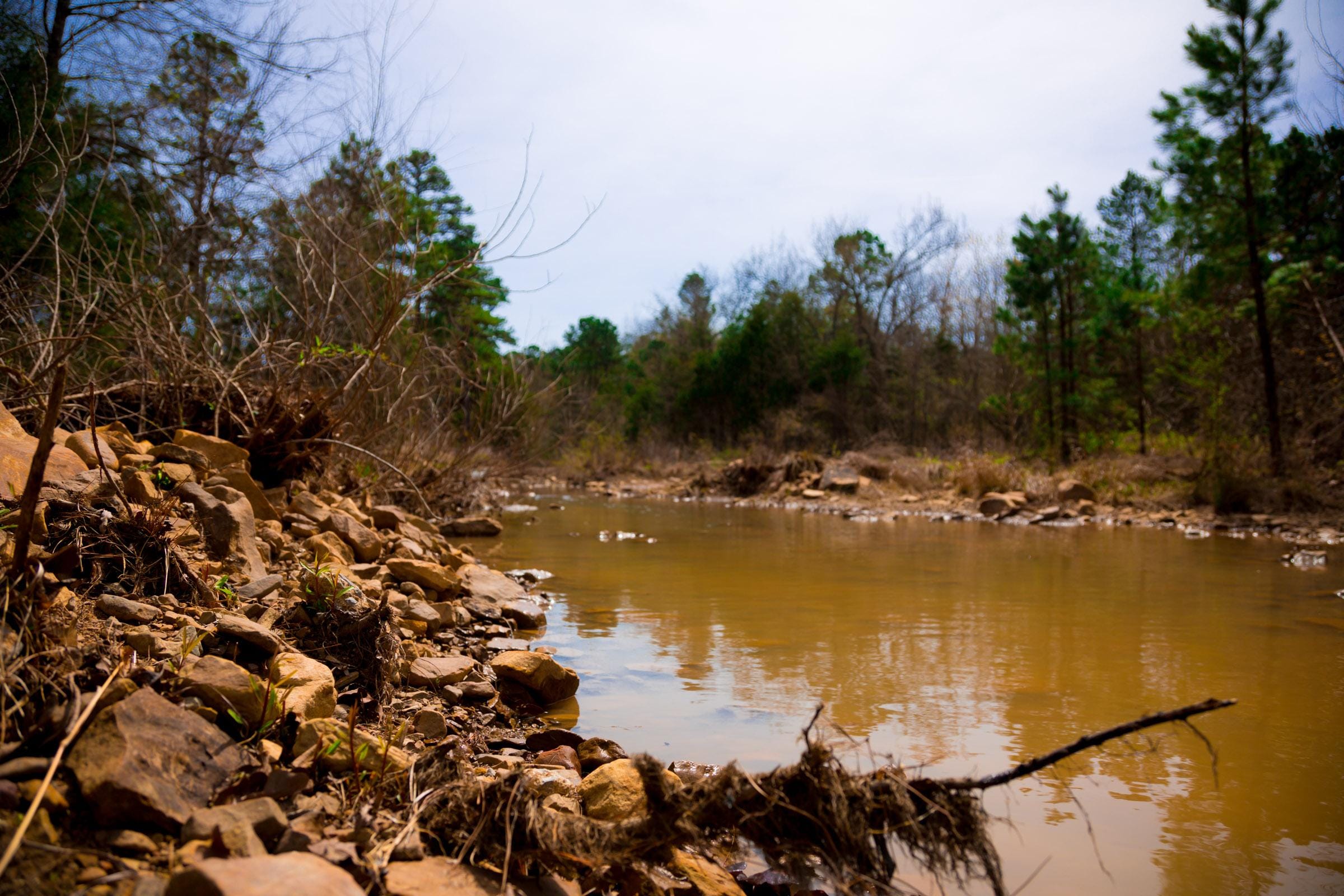 Stone Creek Phase II Tract 238 photo 7
