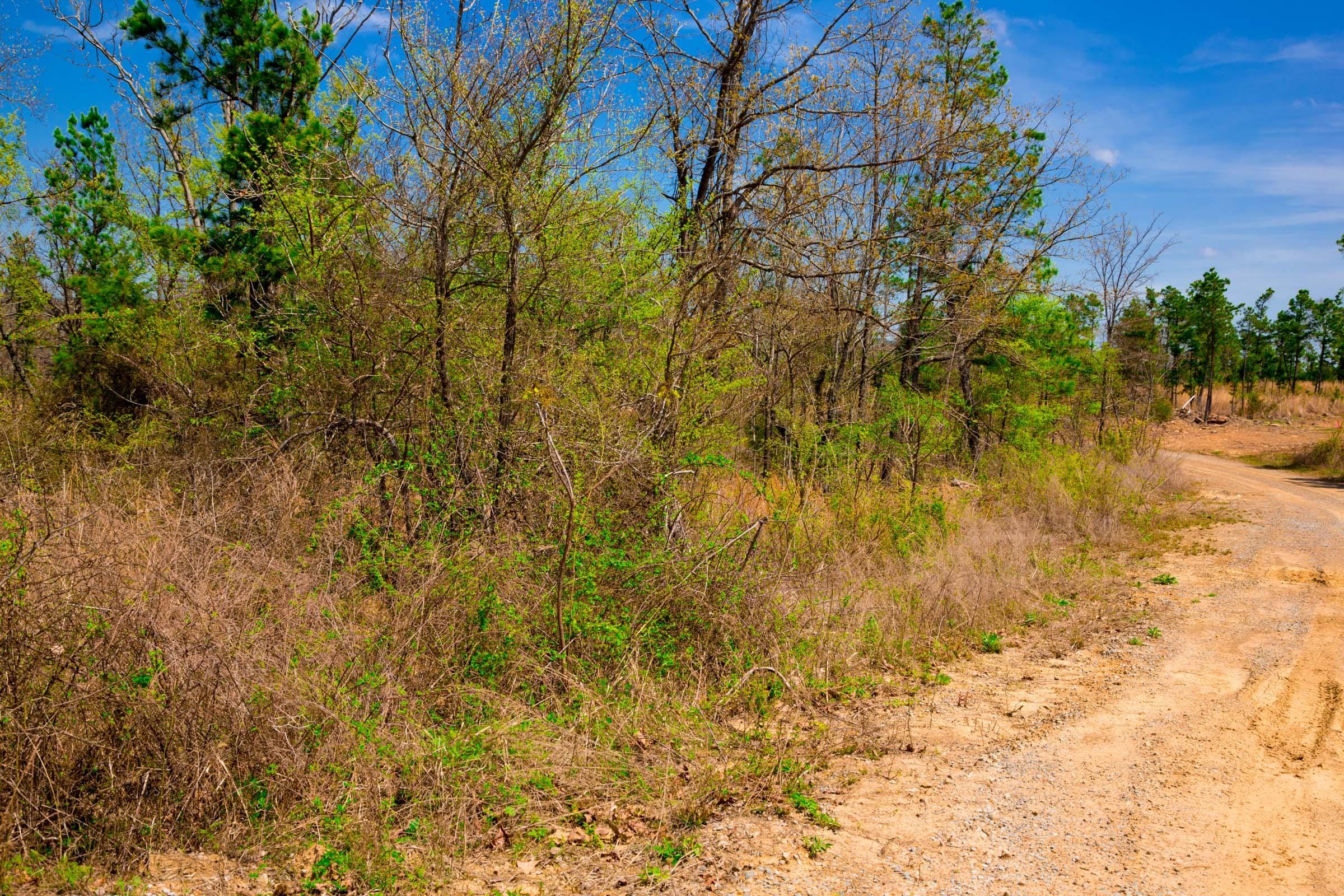 Stone Creek Phase II Tract 238 photo 9