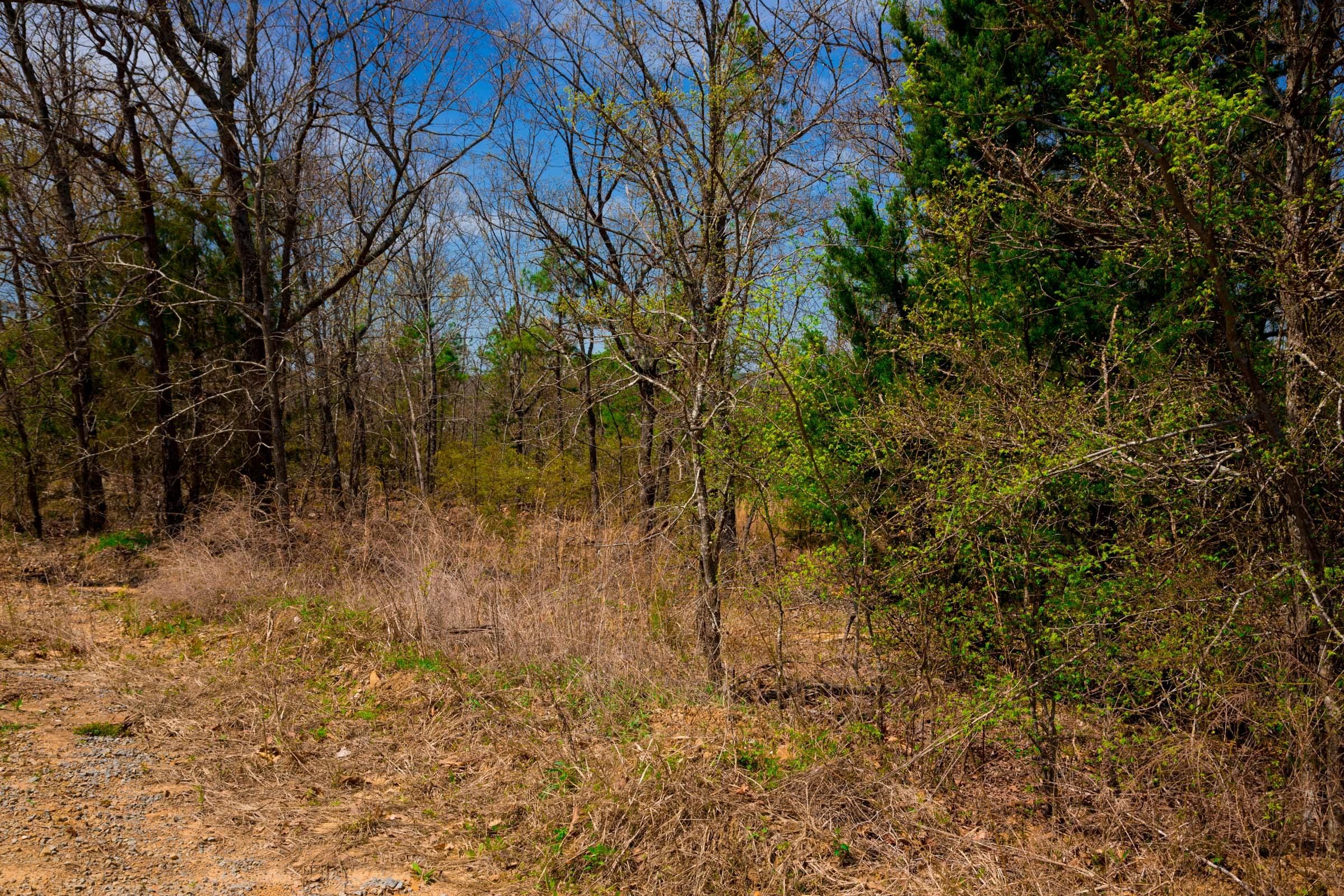 Stone Creek Phase II Tract 238 photo 10
