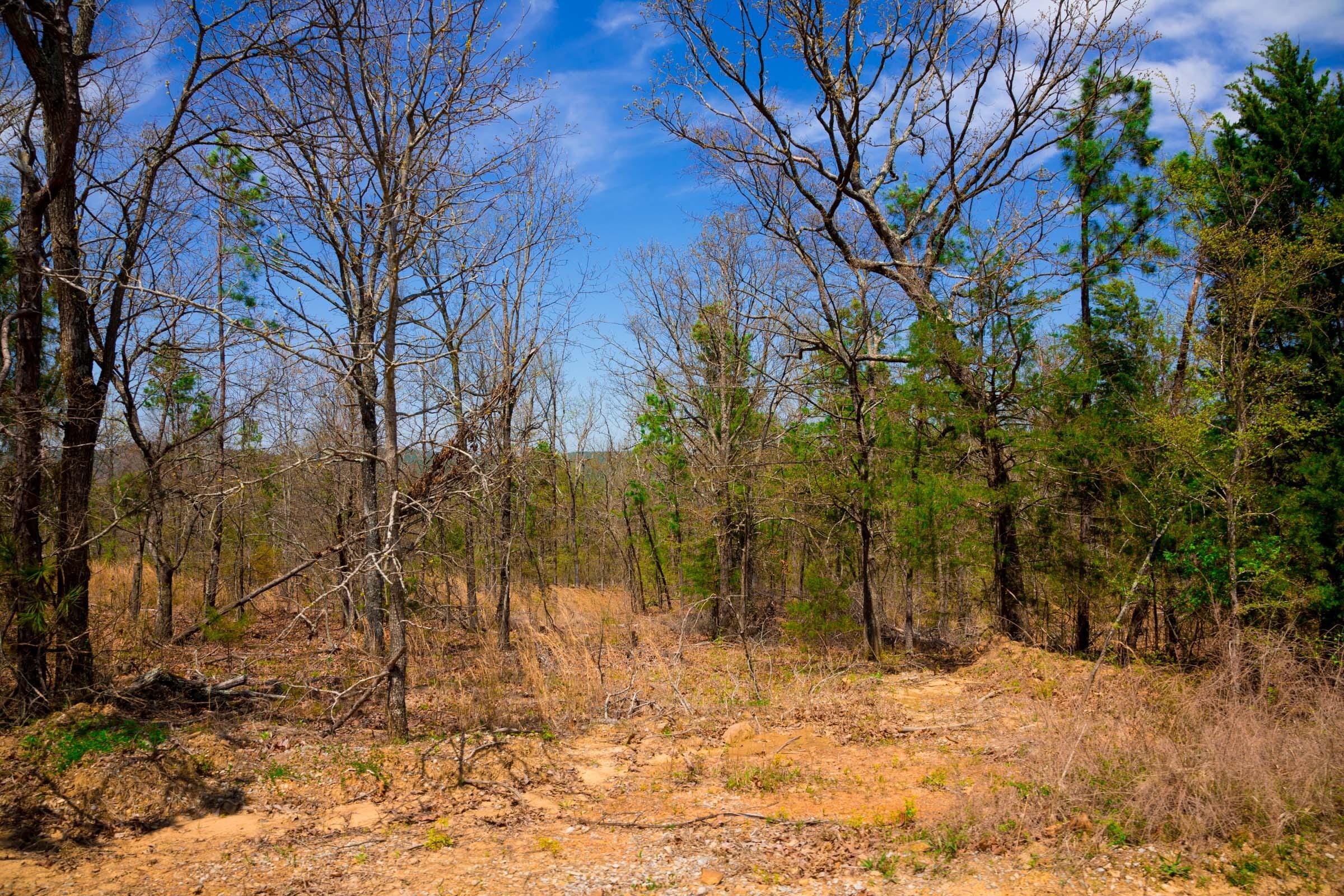 Stone Creek Phase II Tract 238 photo 11