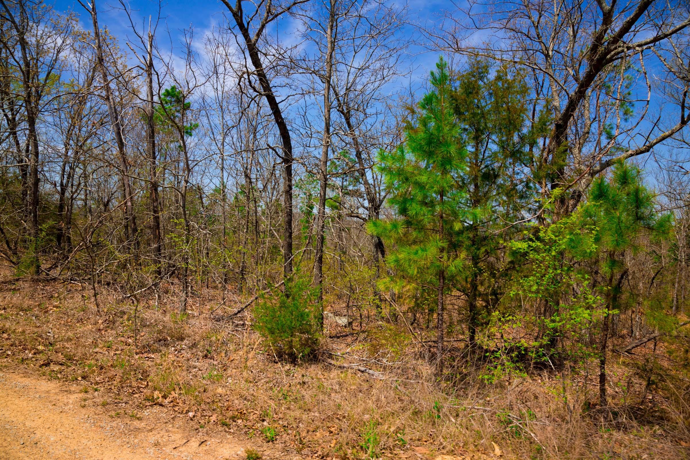 Stone Creek Phase II Tract 238 photo 12