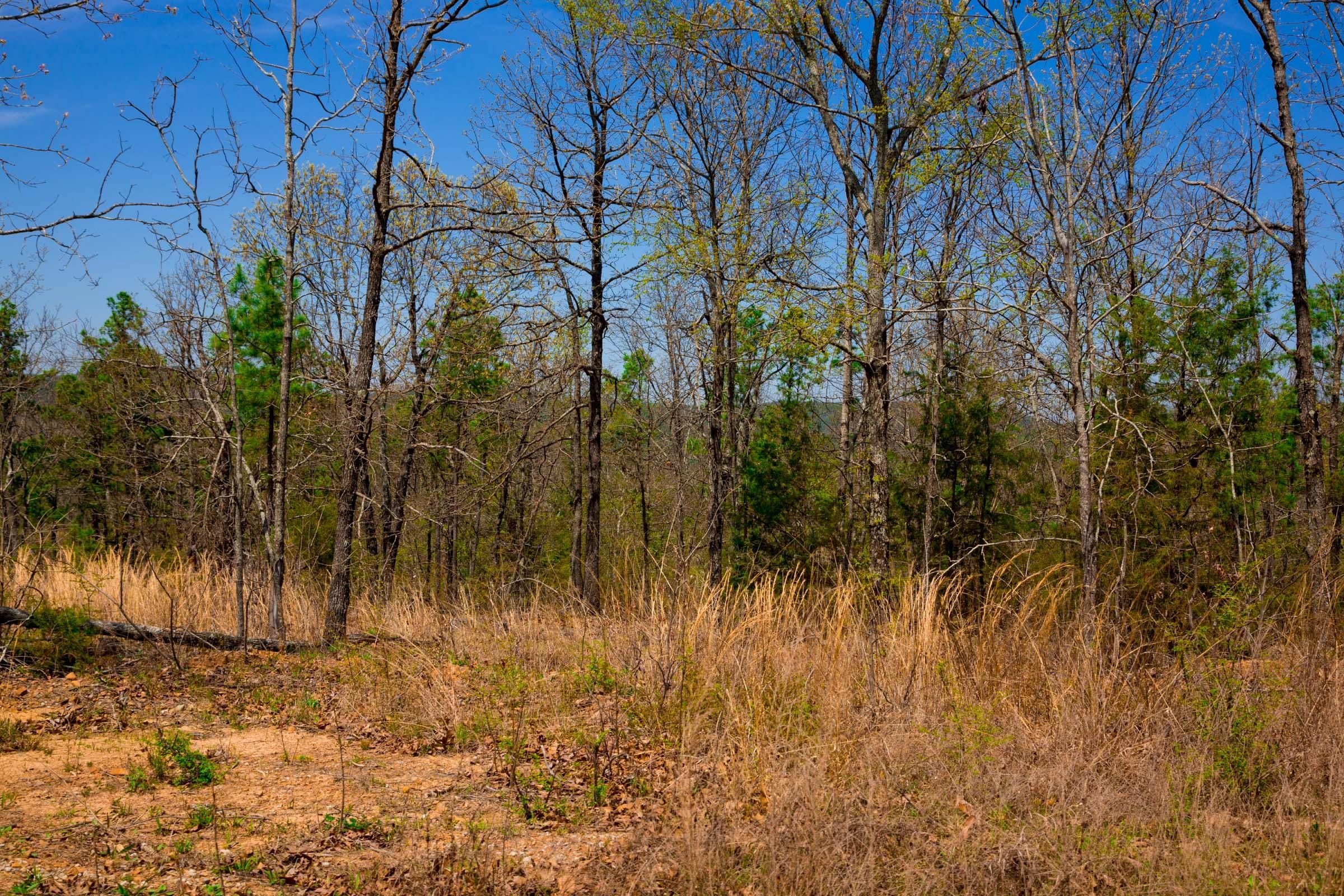 Stone Creek Phase II Tract 238 photo 13