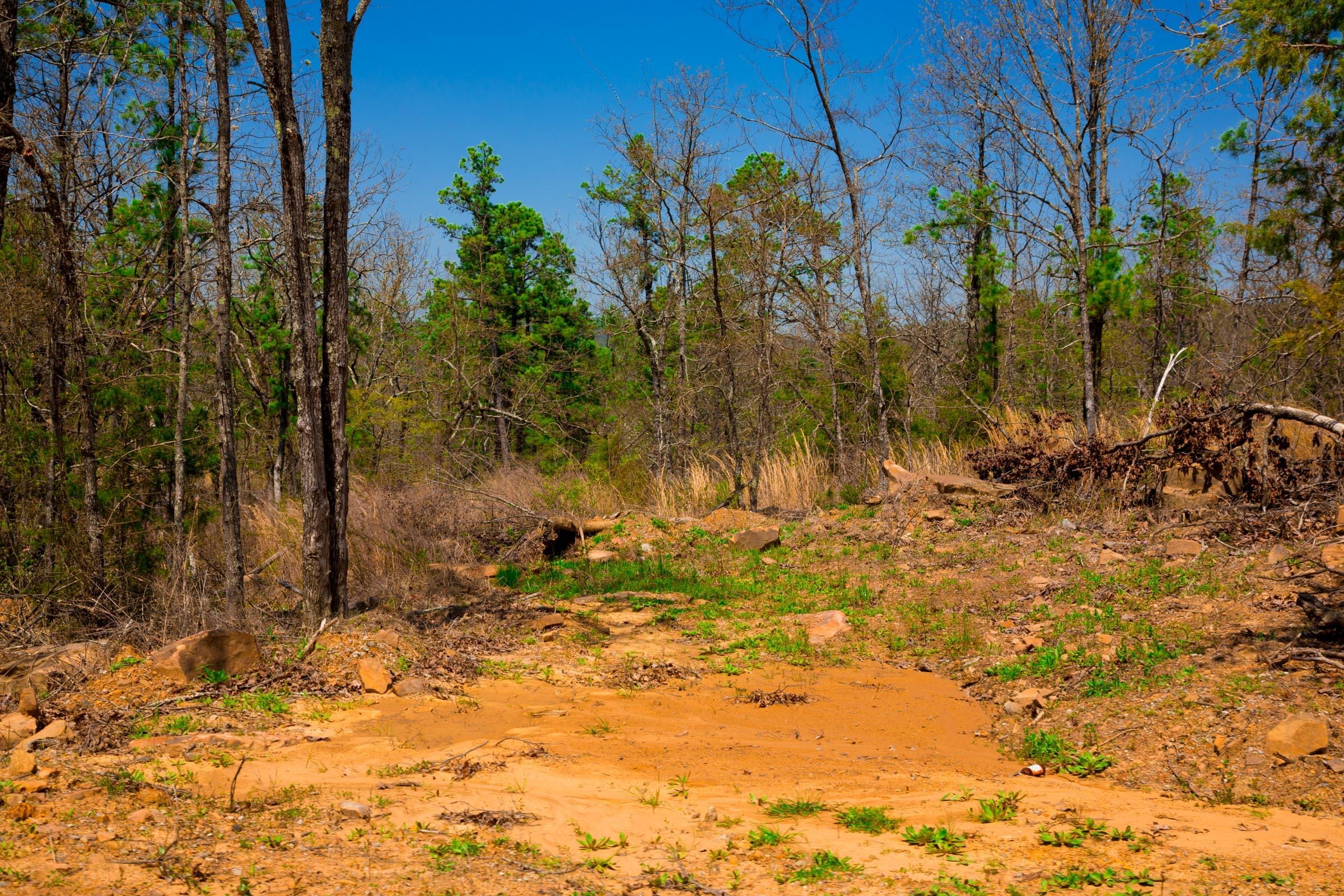 Stone Creek Phase II Tract 238 photo 14