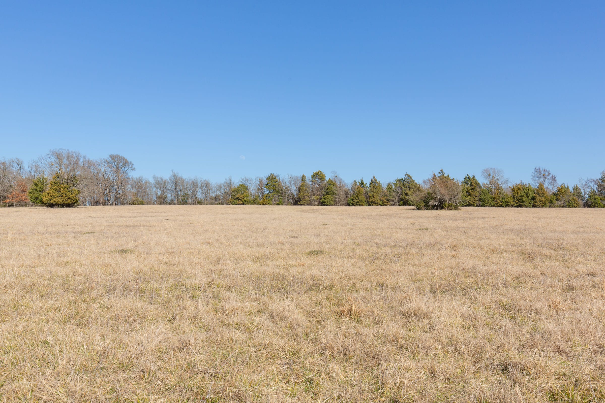 Wishing Star Ranch Tract 83 photo 2