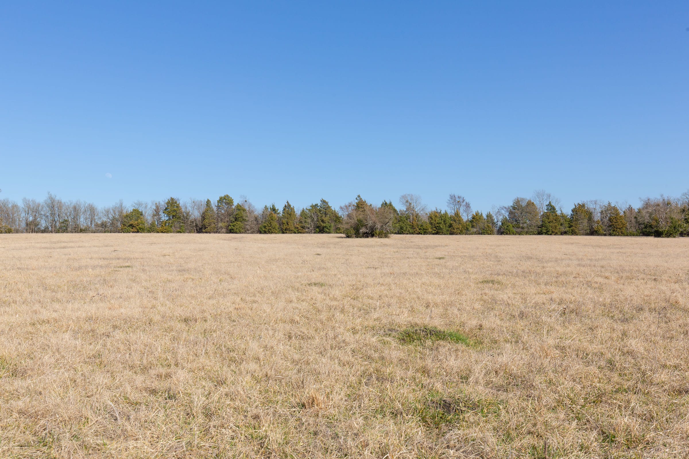 Wishing Star Ranch Tract 83 photo 5