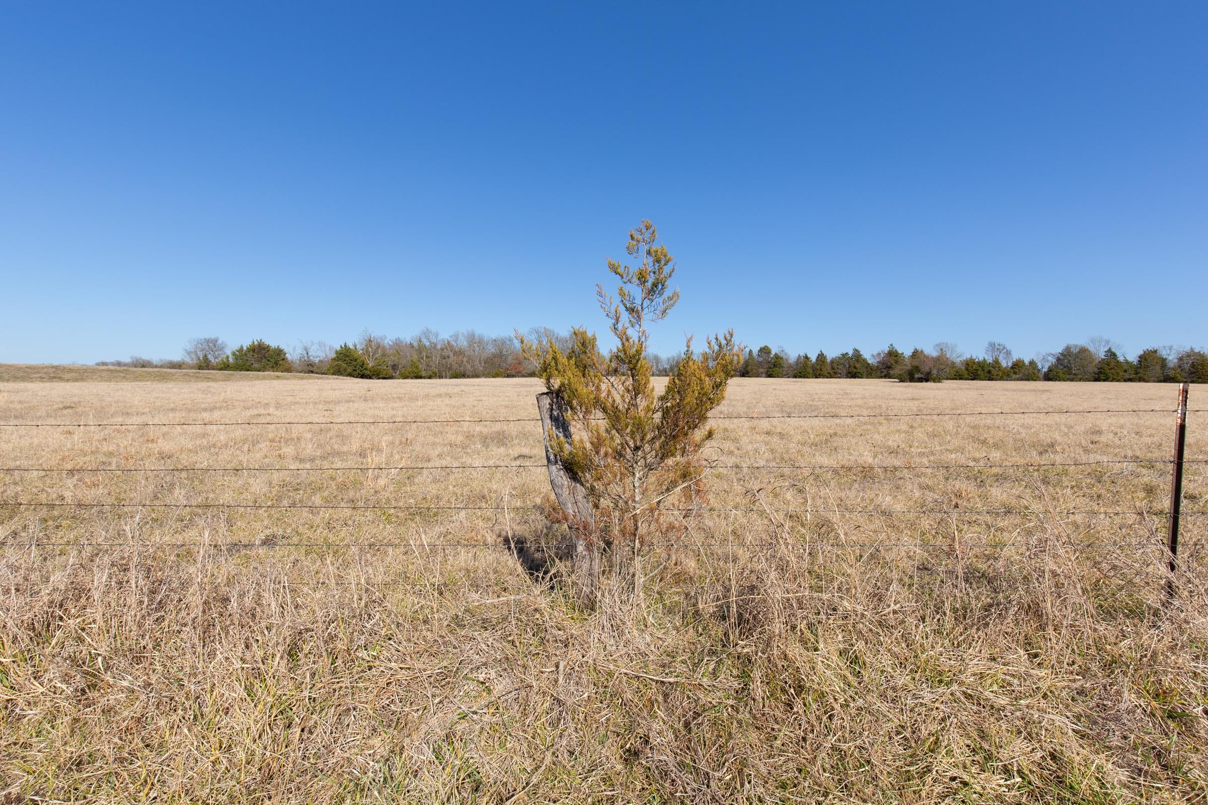 Wishing Star Ranch Tract 83 photo 6