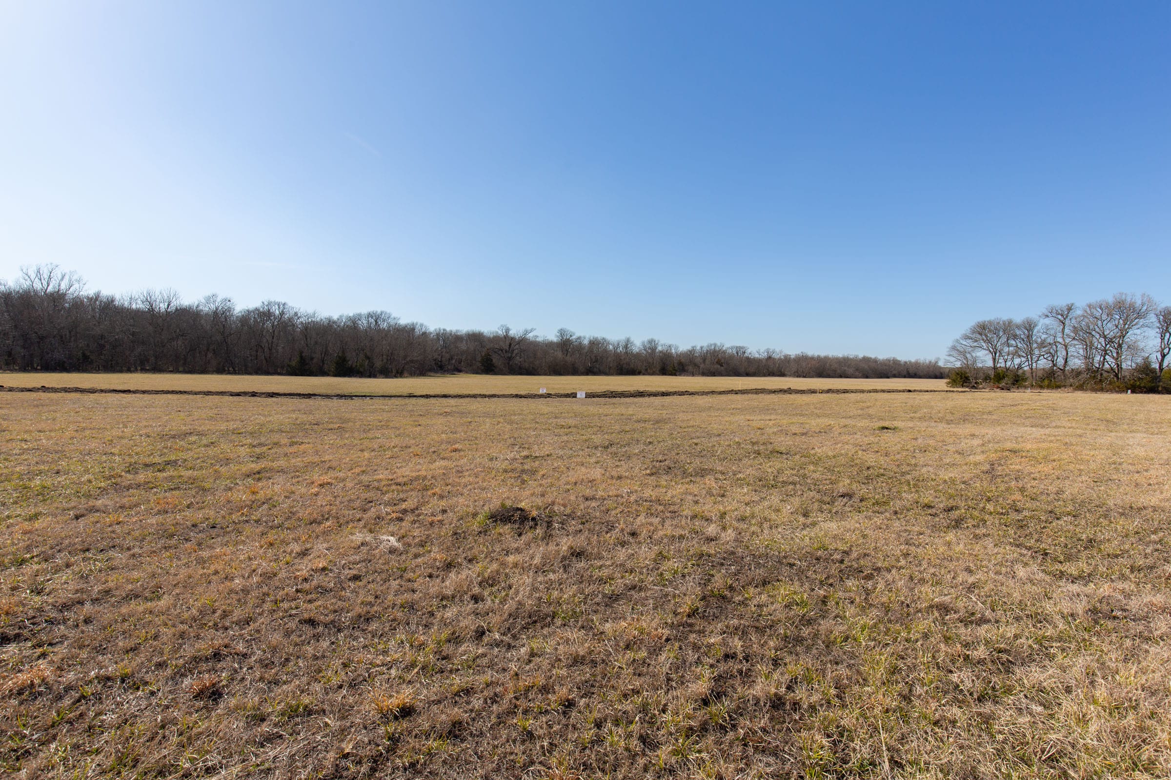 Wishing Star Ranch Tract 83 photo 7