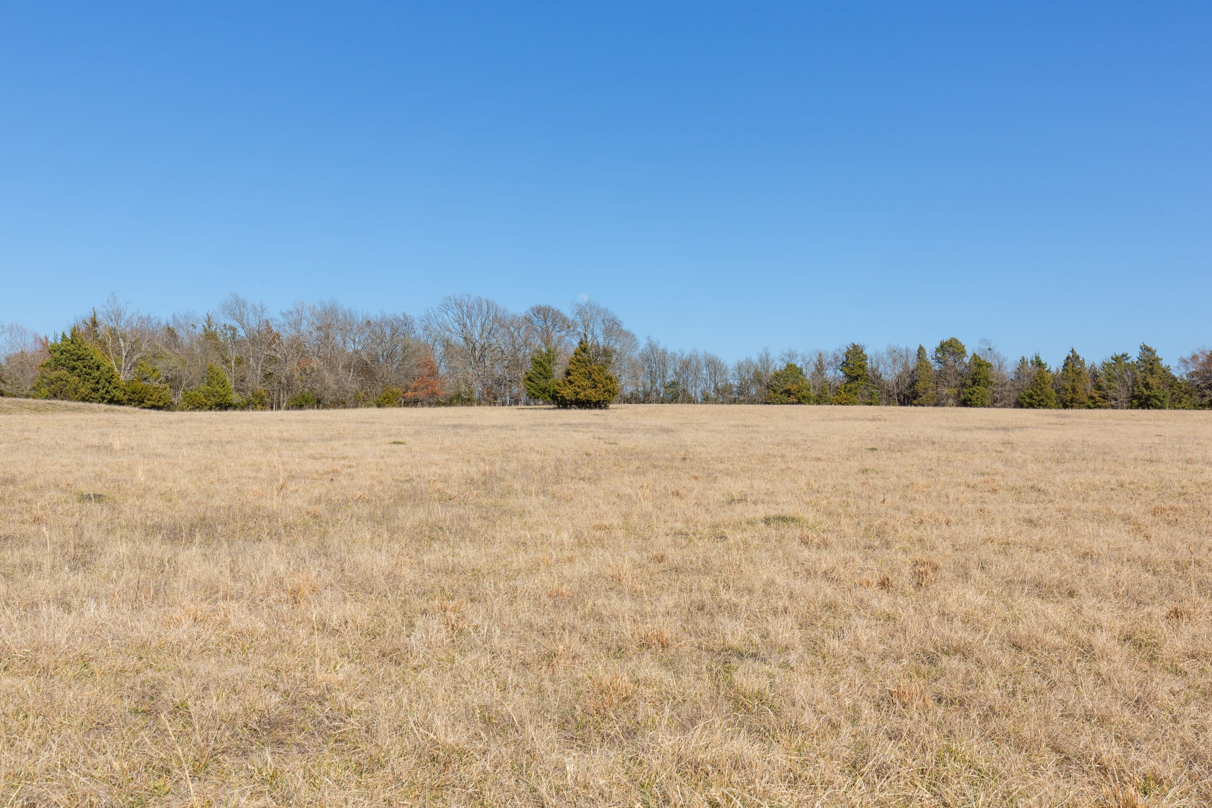 Wishing Star Ranch Tract 83 photo 8