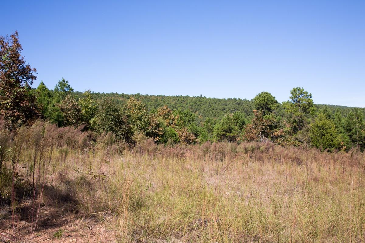 Stone Creek Phase I Tract 103 photo 4