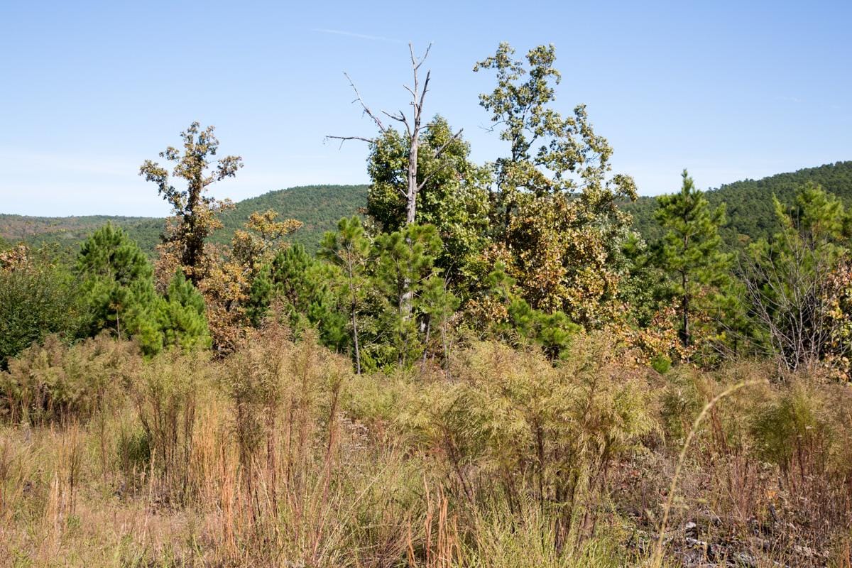 Stone Creek Phase I Tract 103 photo 6