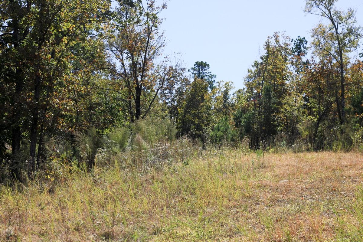 Stone Creek Phase I Tract 103 photo 8