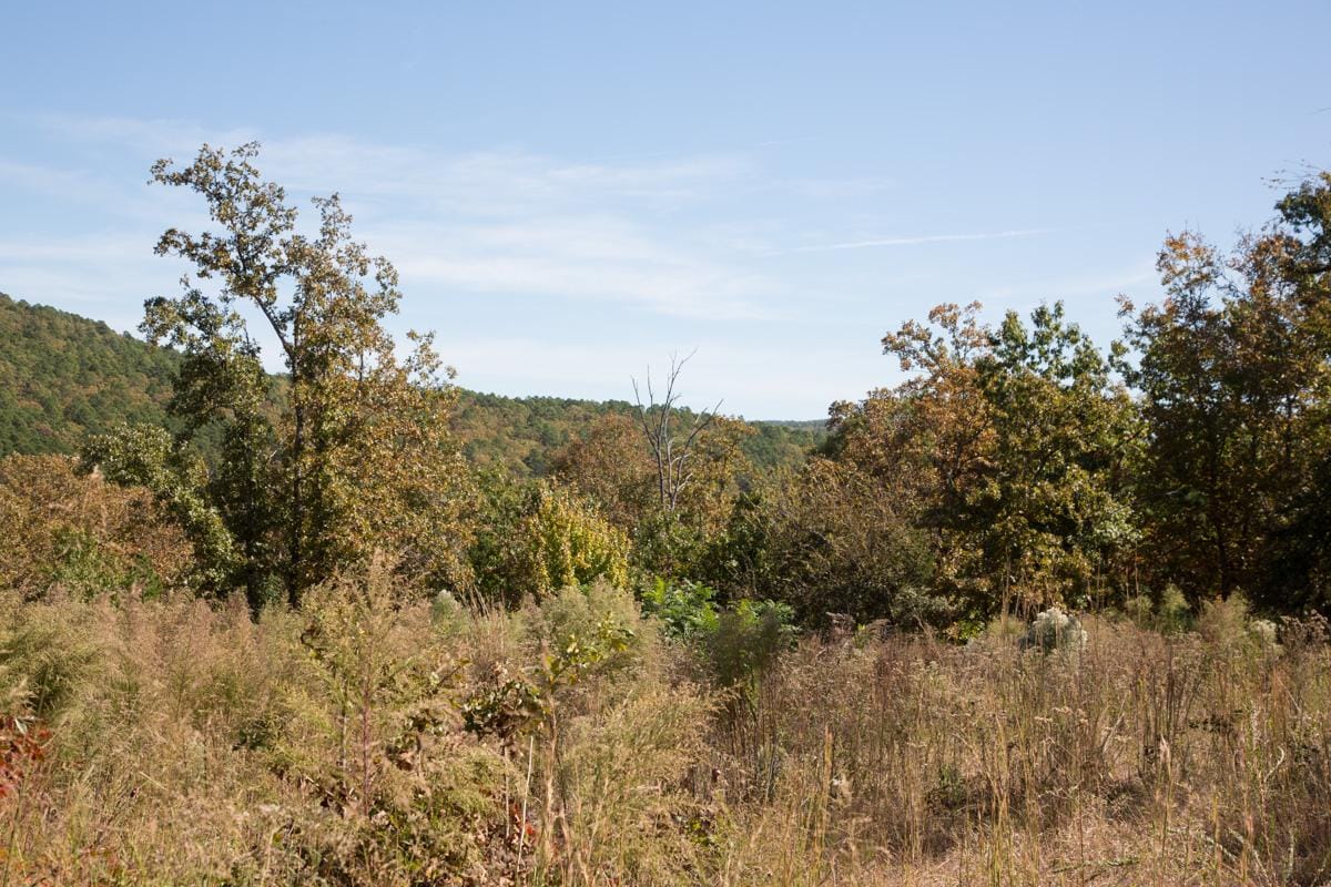 Stone Creek Phase I Tract 103 photo 9