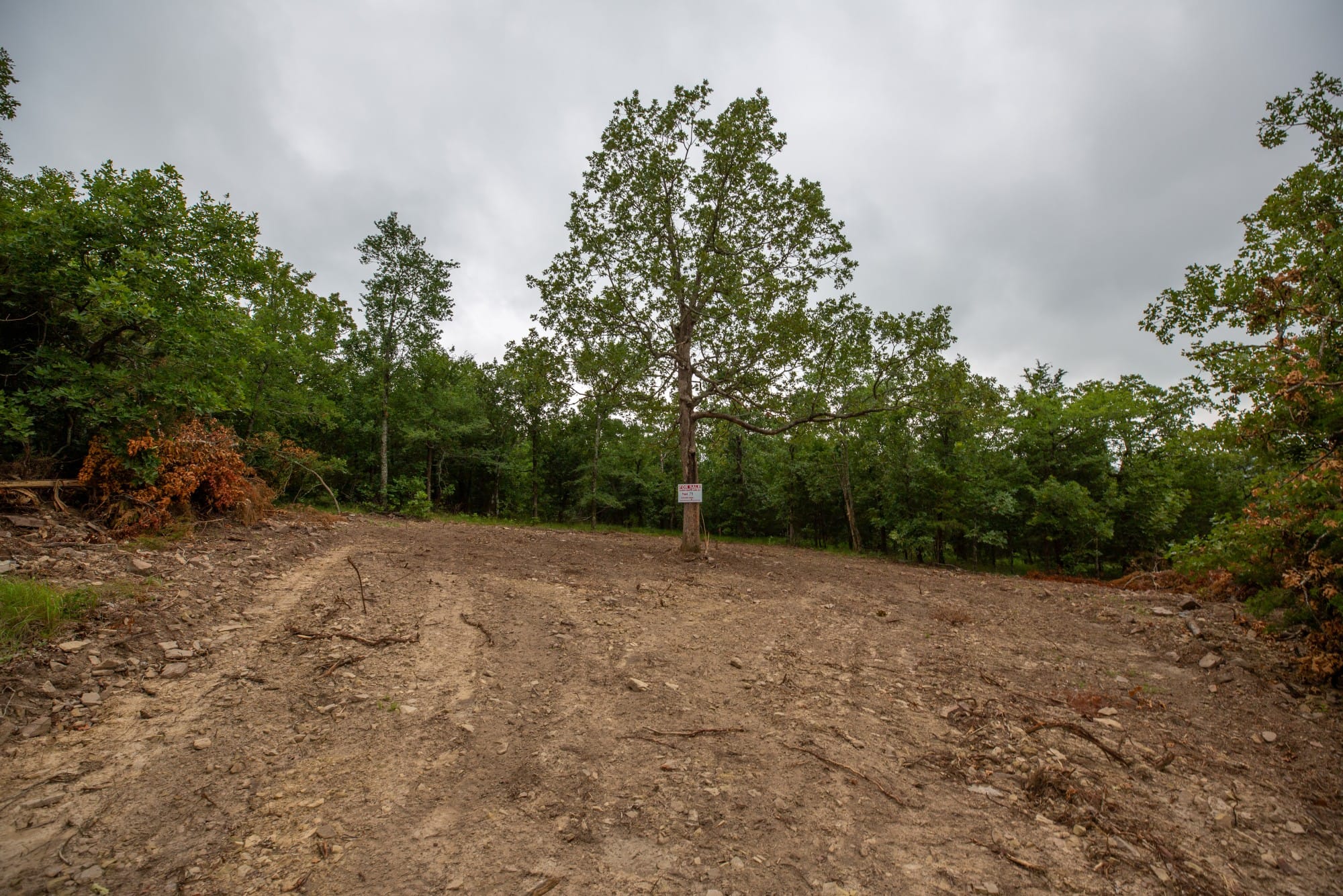 Eagle’s Nest Tract 79 photo 6