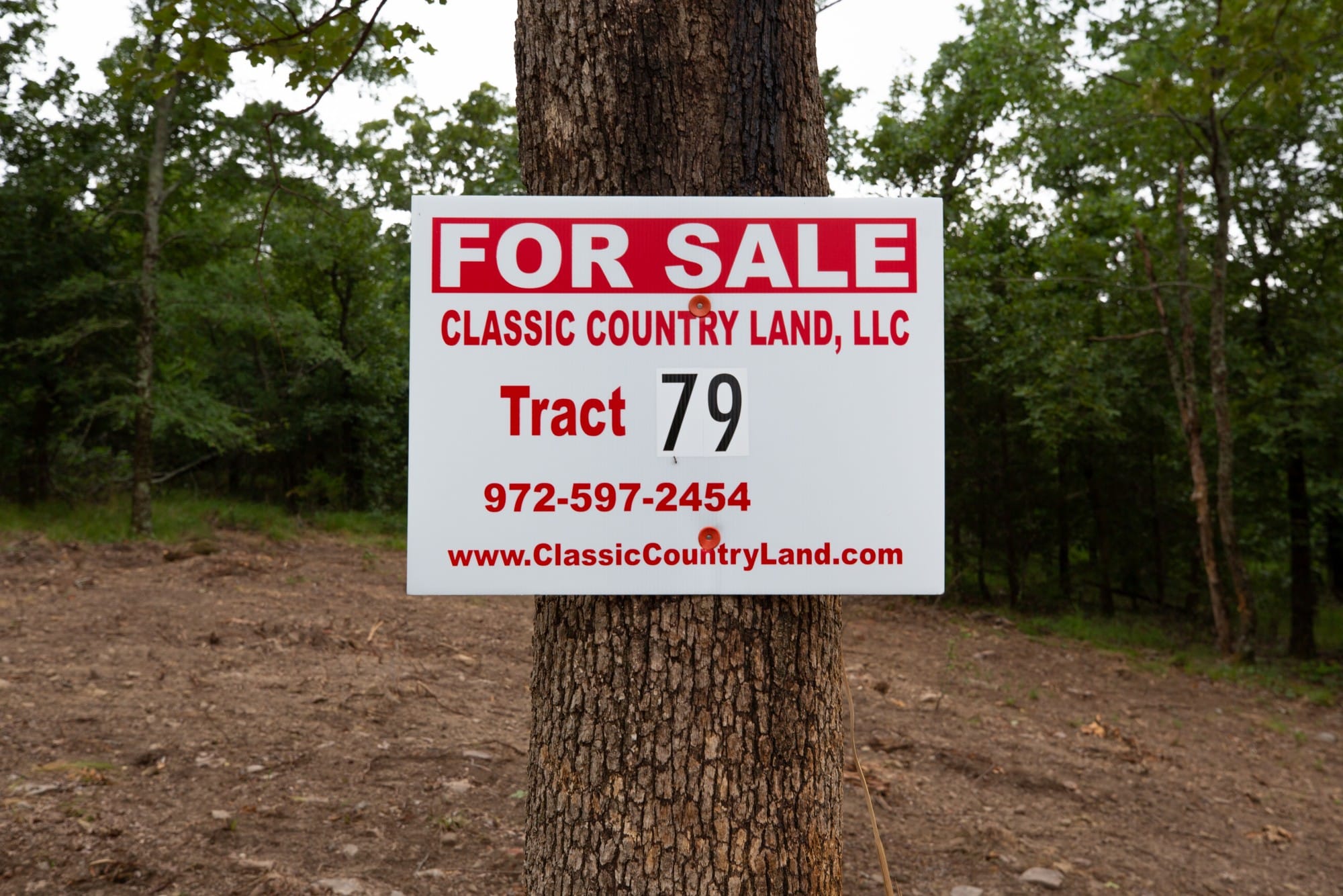 Eagle’s Nest Tract 79 photo 1