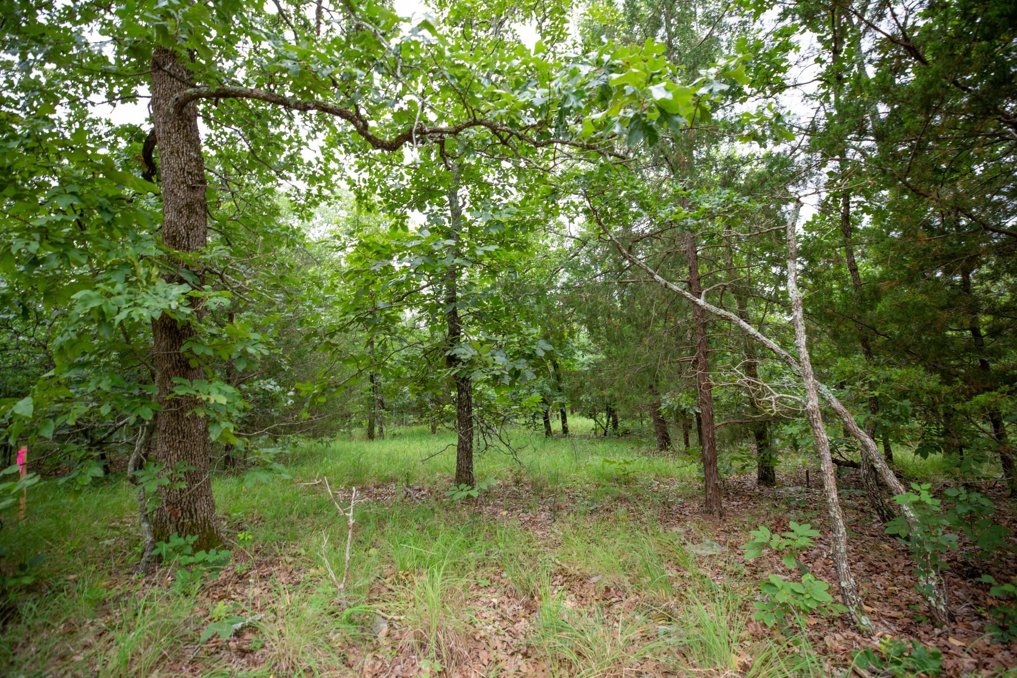 Eagle’s Nest Tract 79 photo 3