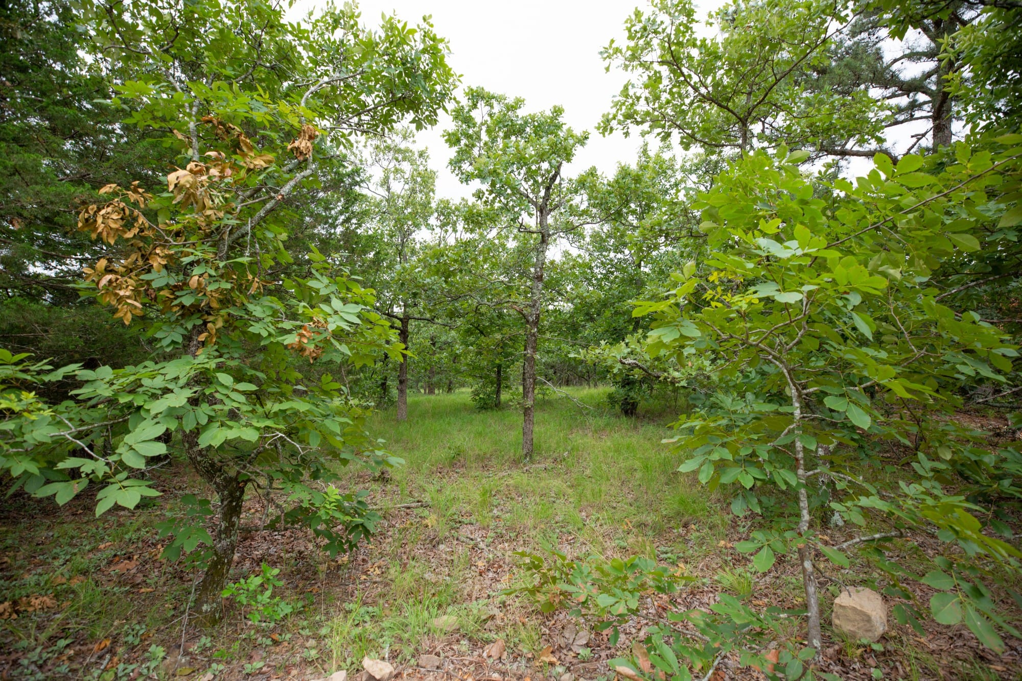 Eagle’s Nest Tract 79 photo 7