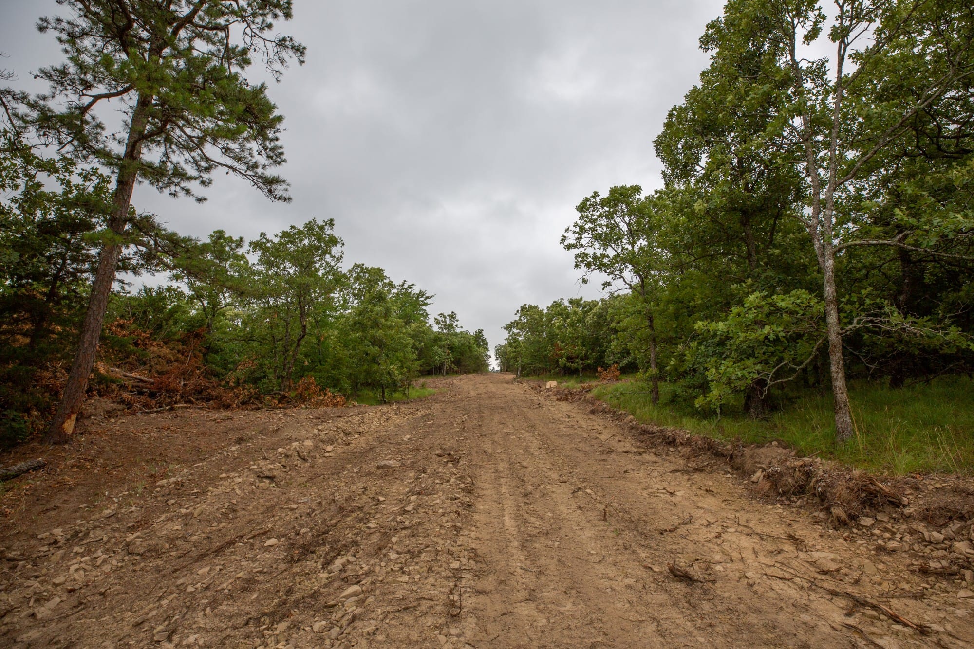 Eagle’s Nest Tract 79 photo 2