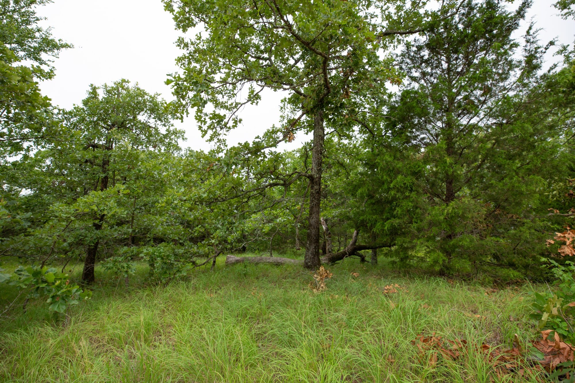 Eagle’s Nest Tract 79 photo 10