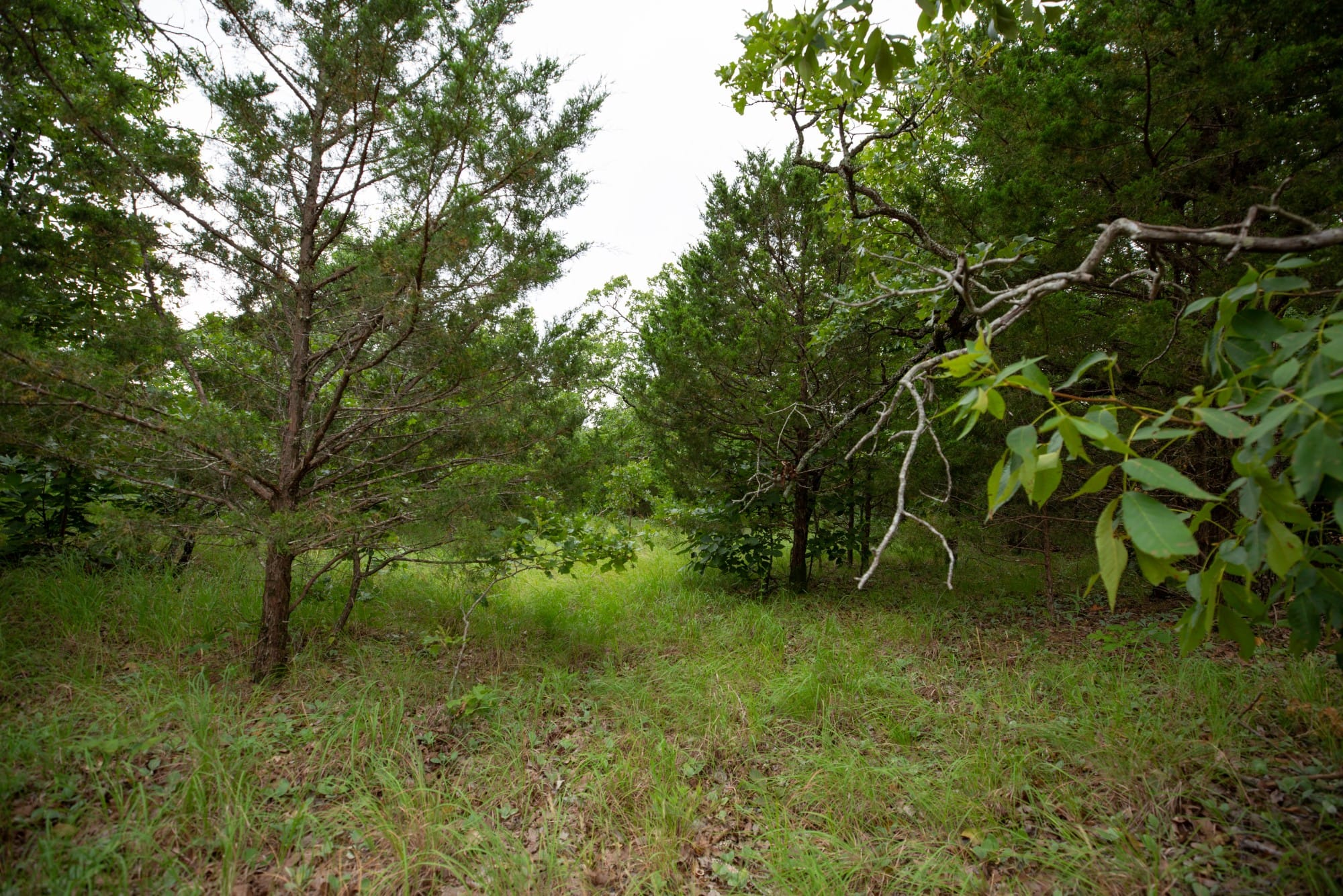 Eagle’s Nest Tract 79 photo 11