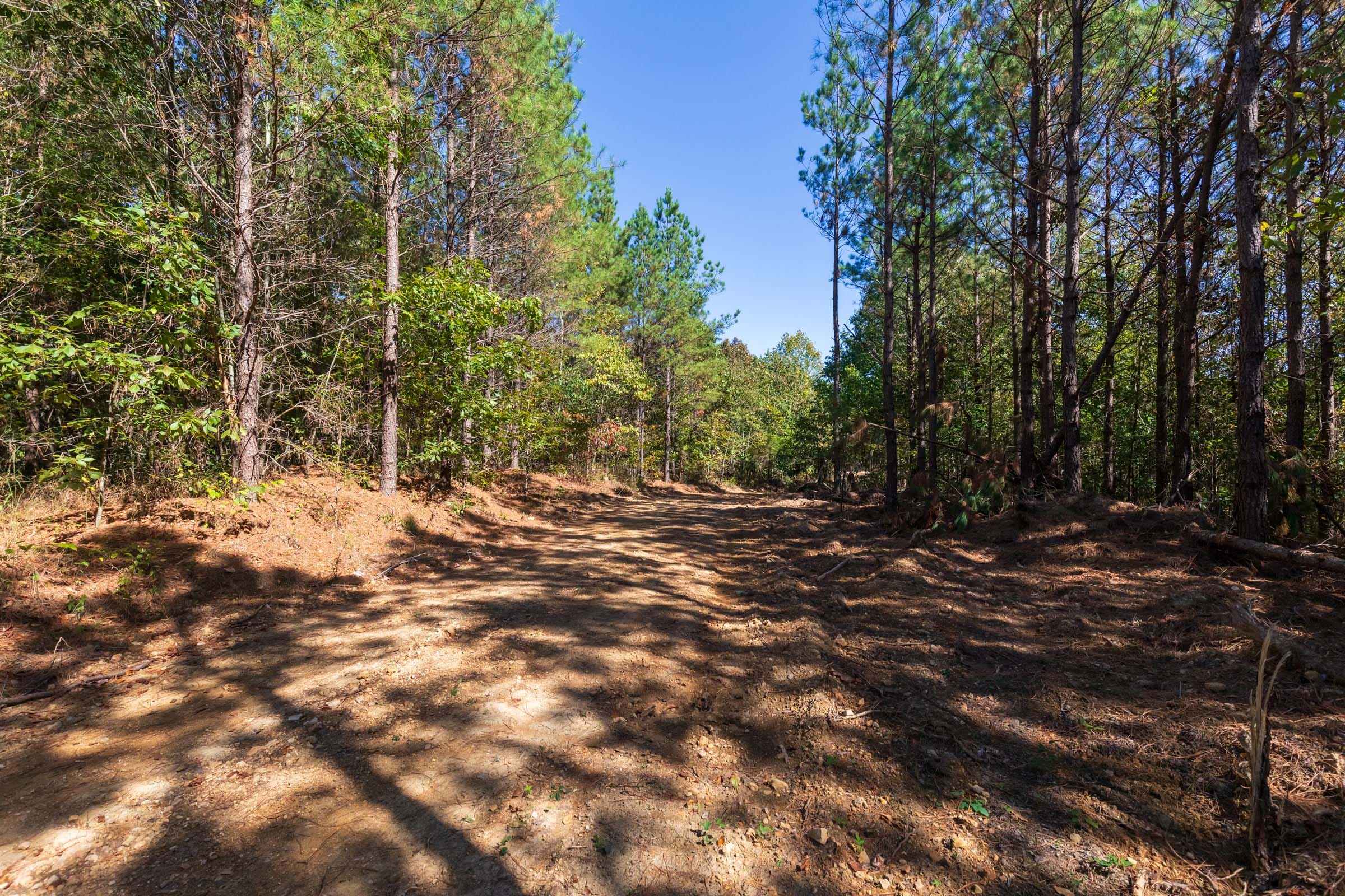 Bear Brook Tract 10 photo 9