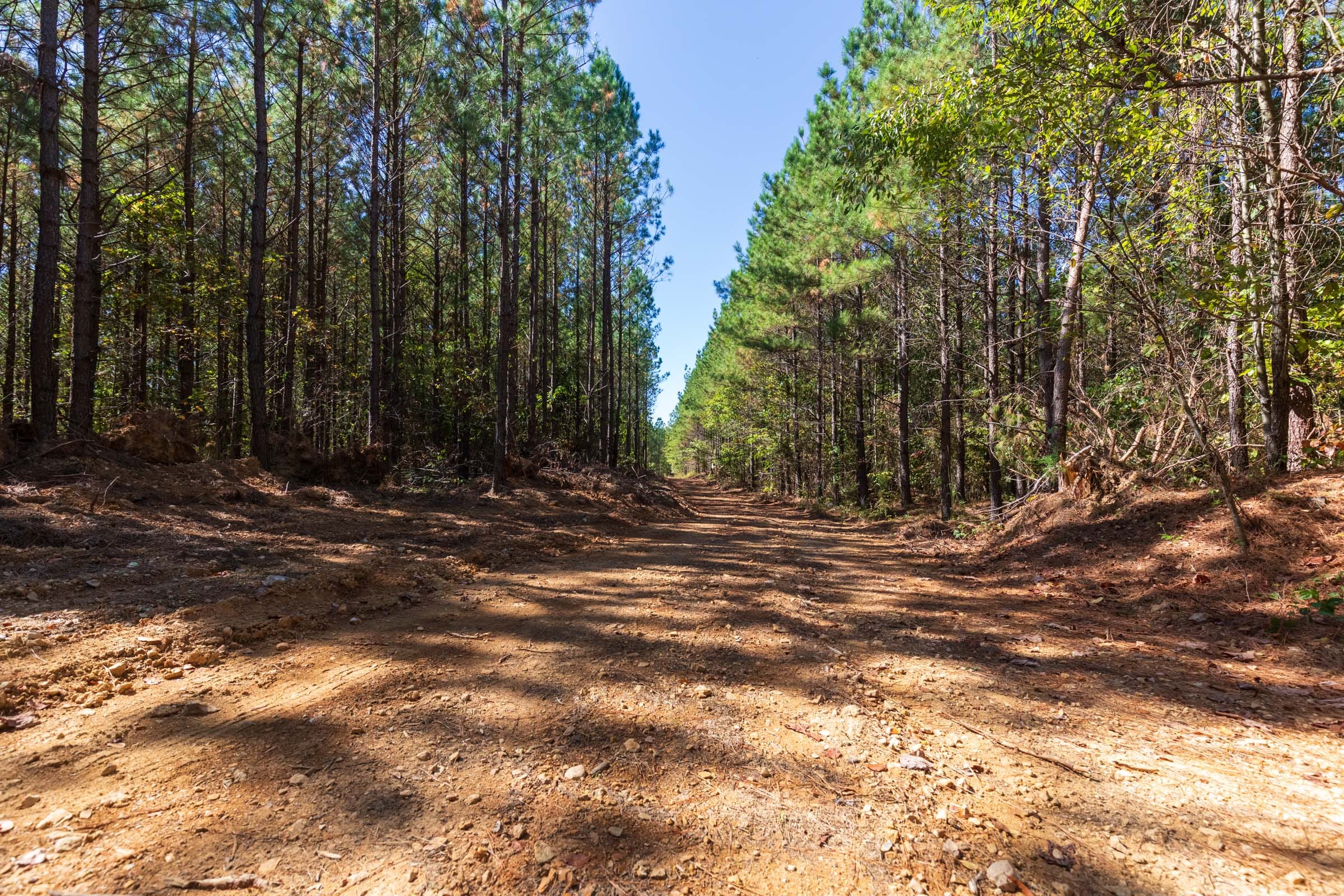 Bear Brook Tract 10 photo 3