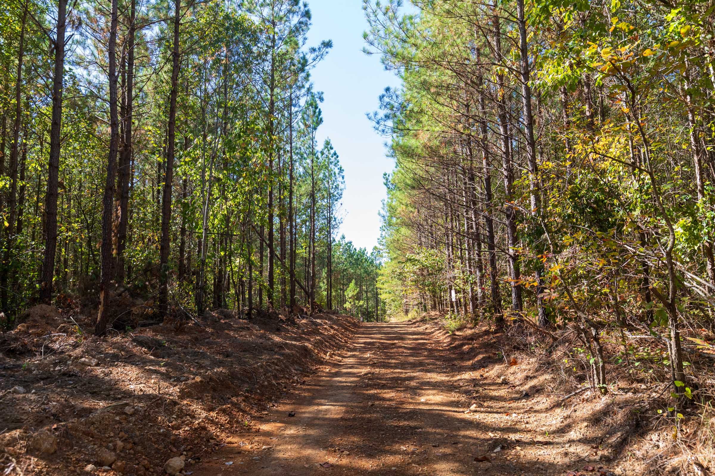 Bear Brook Tract 10 photo 1