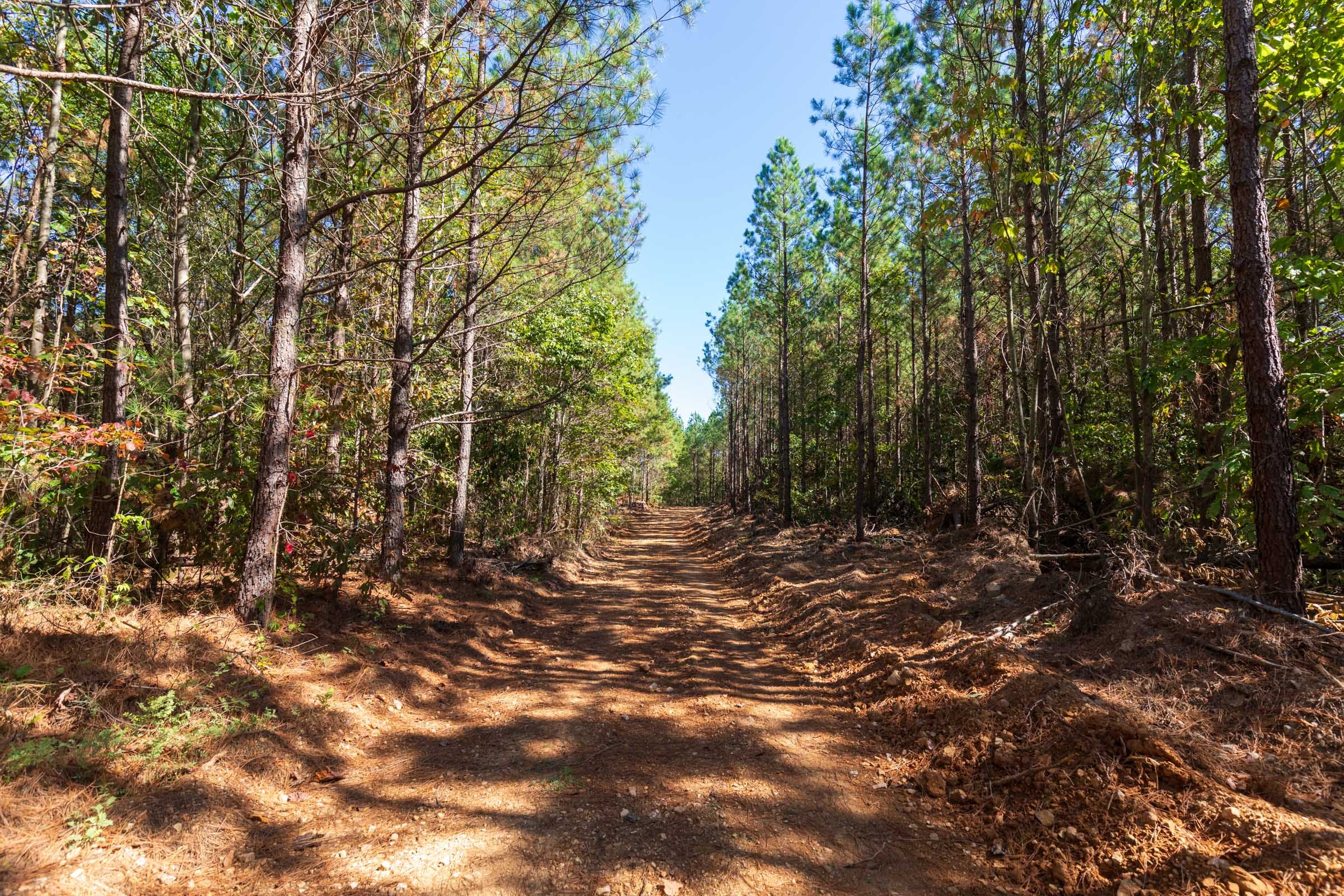 Bear Brook Tract 10 photo 6