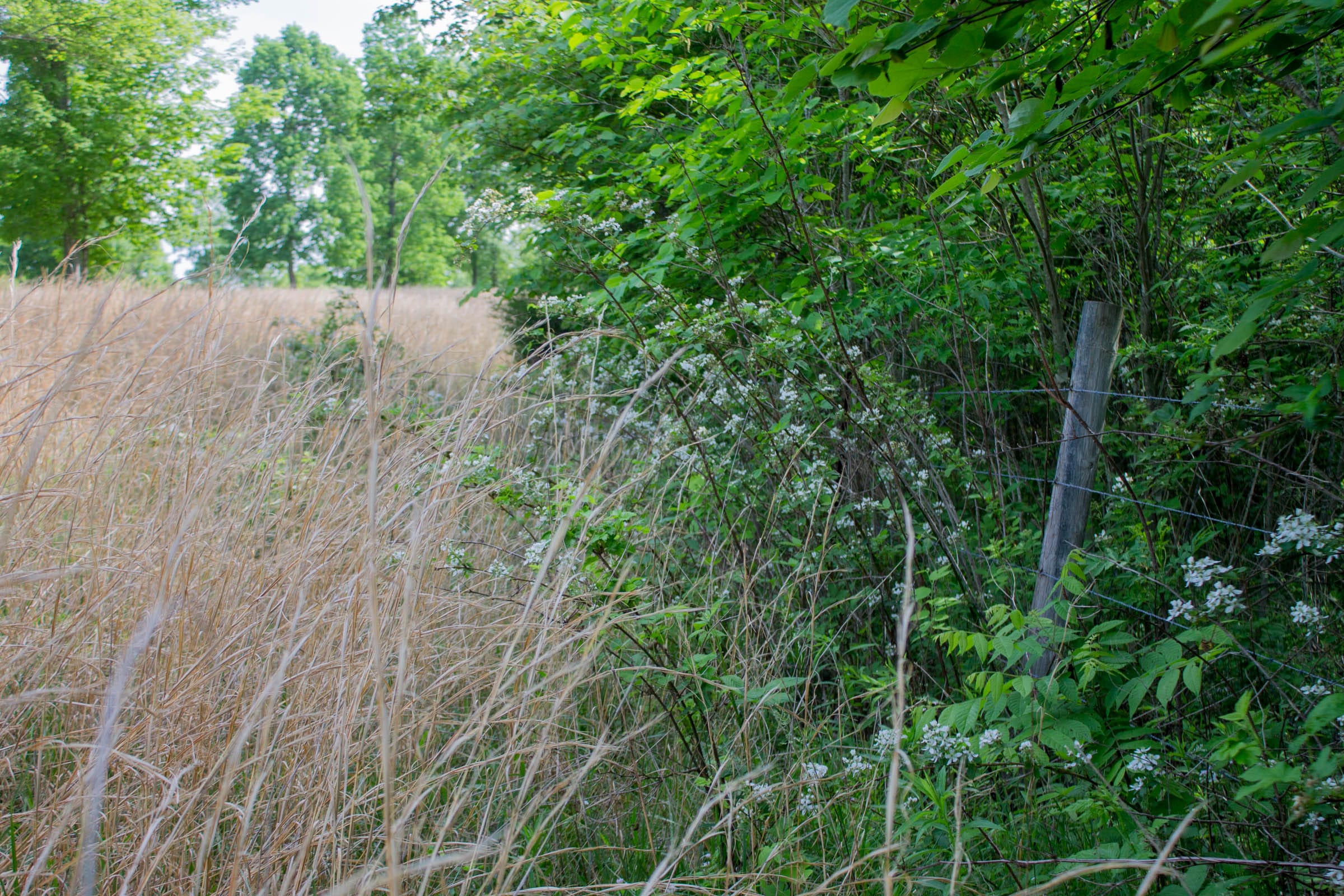 Laurel Ridge Tract 7 photo 2