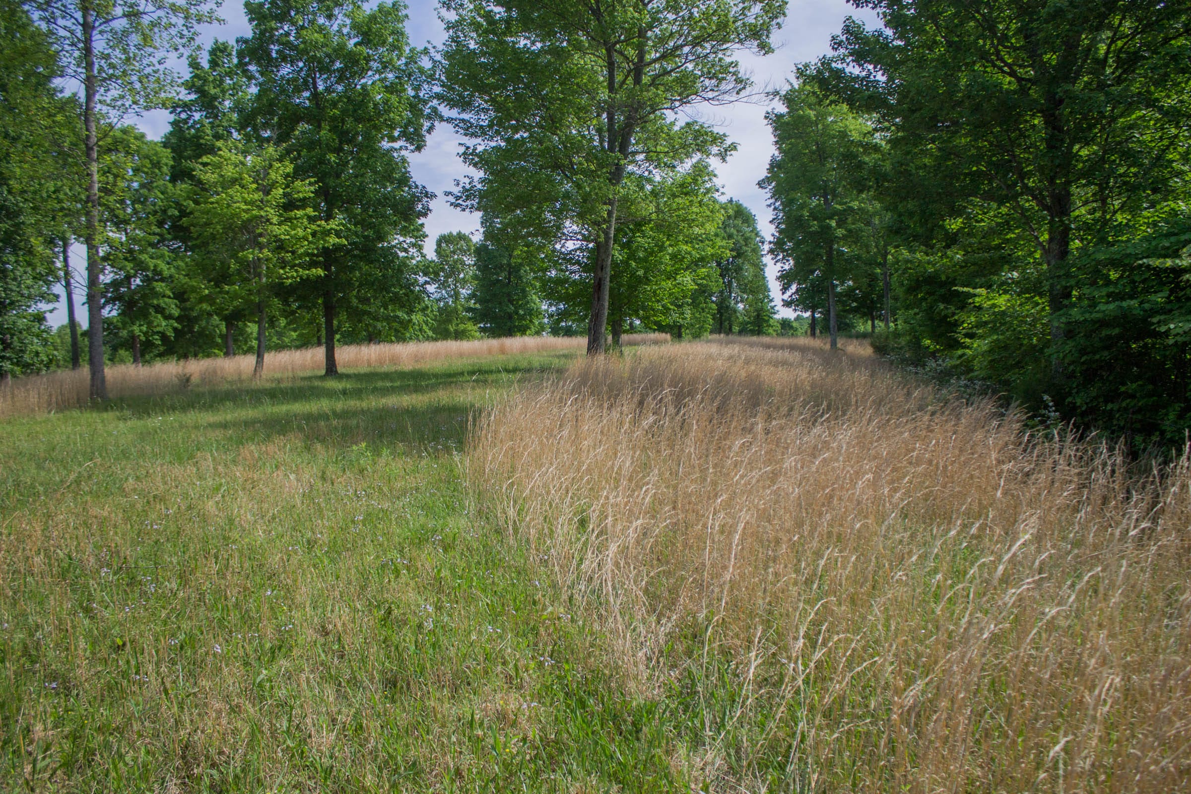 Laurel Ridge Tract 7 photo 3