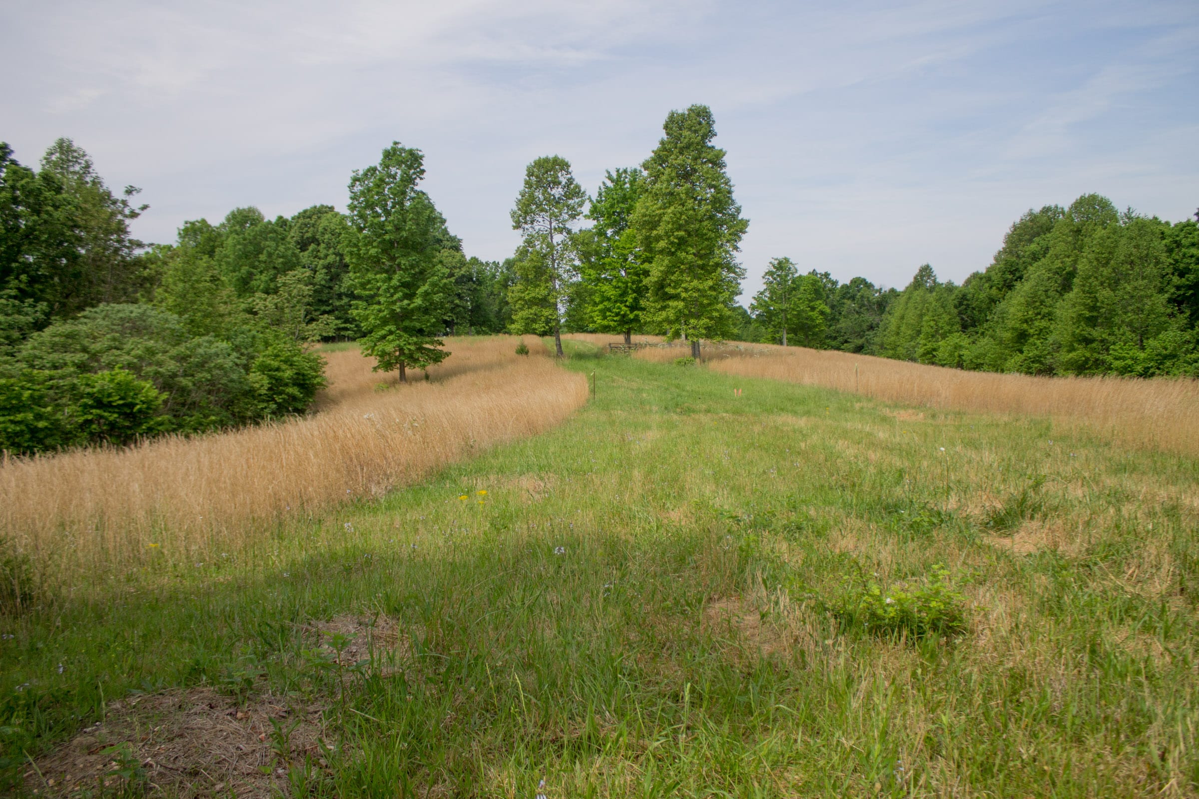 Laurel Ridge Tract 7 photo 1