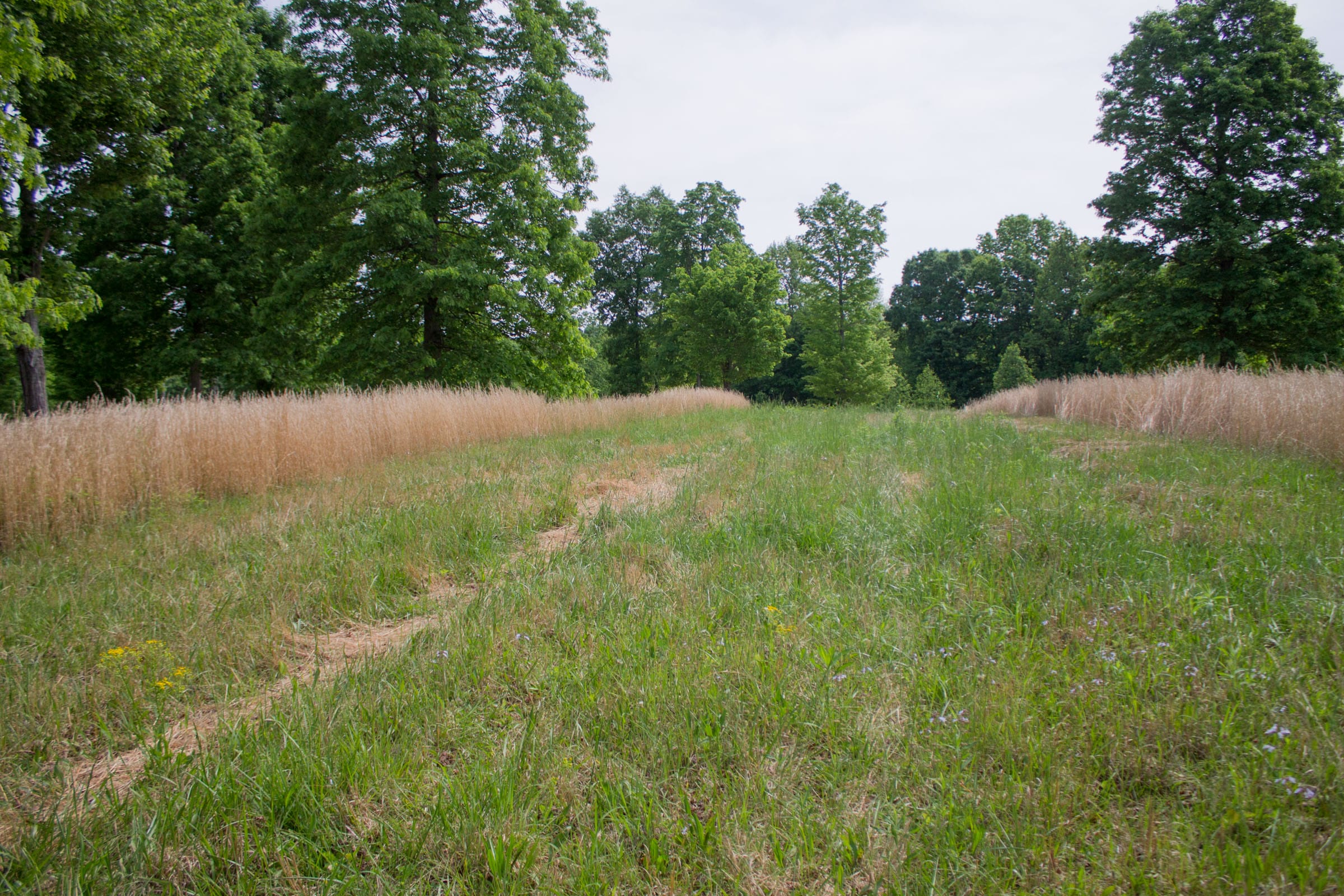 Laurel Ridge Tract 7 photo 4