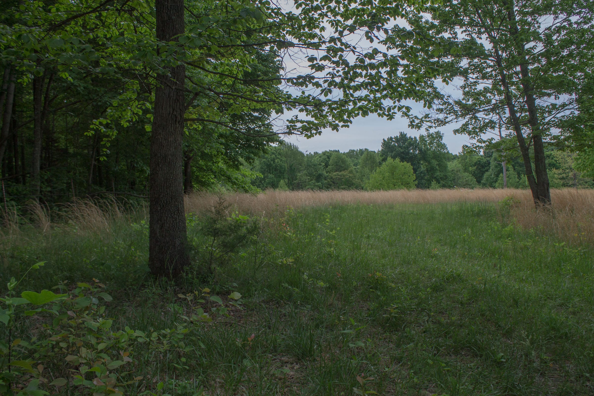 Laurel Ridge Tract 7 photo 10