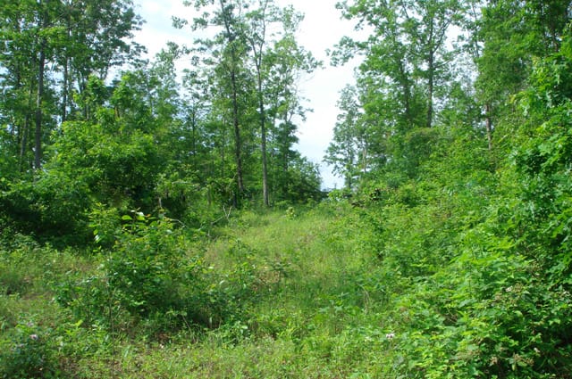 Deer Valley Tract 3 photo 2