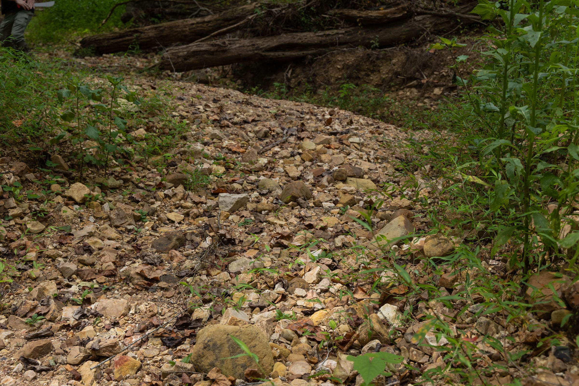 Big White Oak Tract 99 photo 3