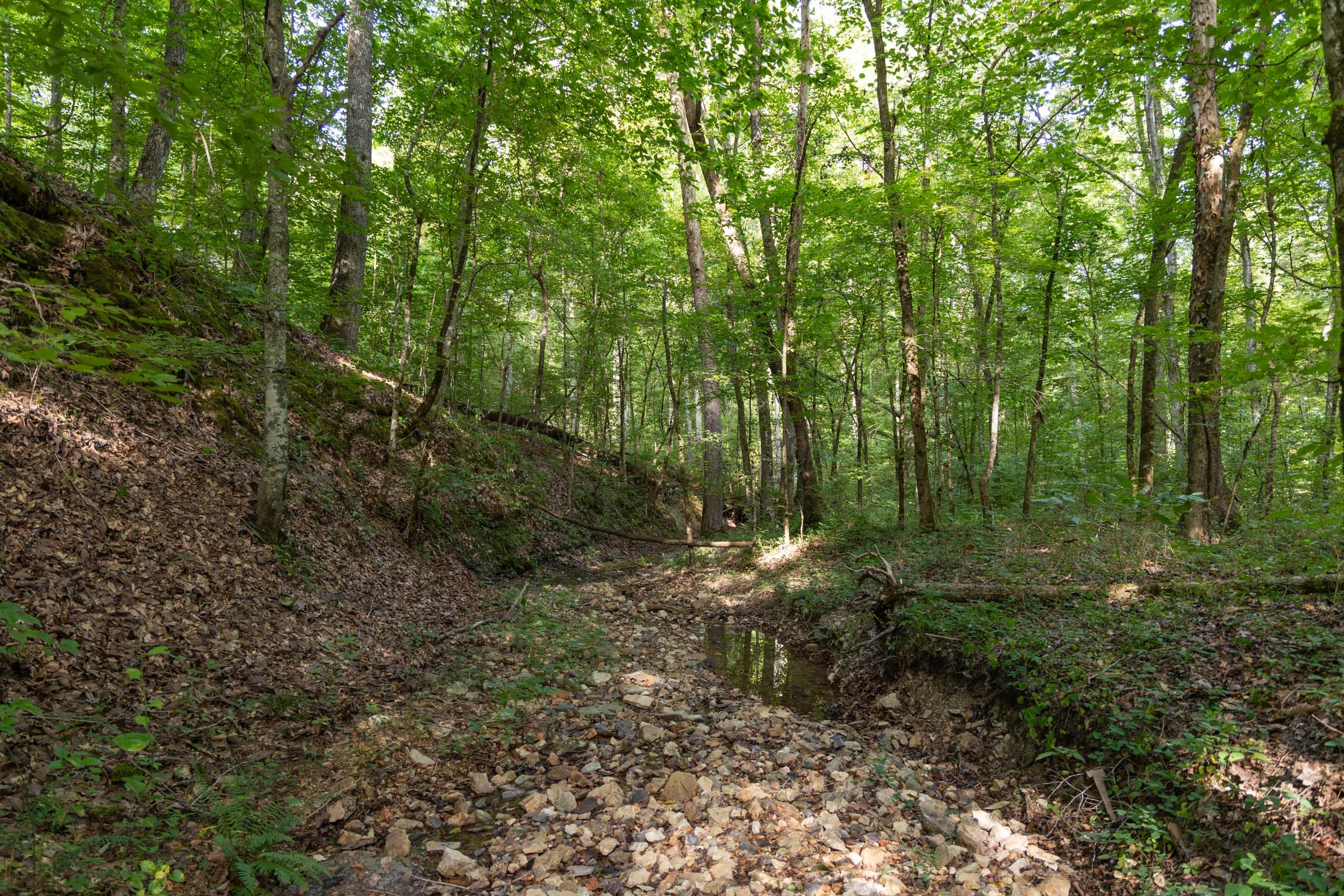 Big White Oak Tract 100 photo 4