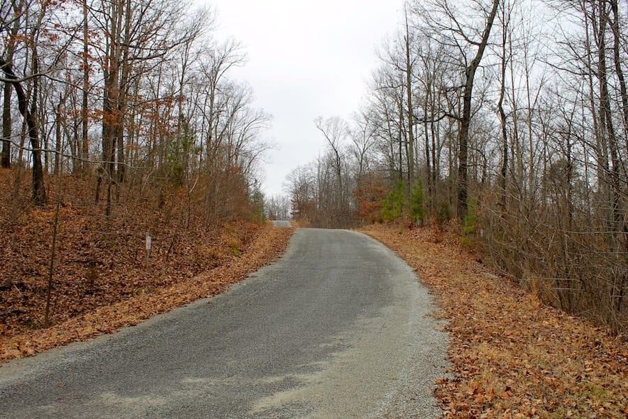 The Tennessean Tract 44 photo 8