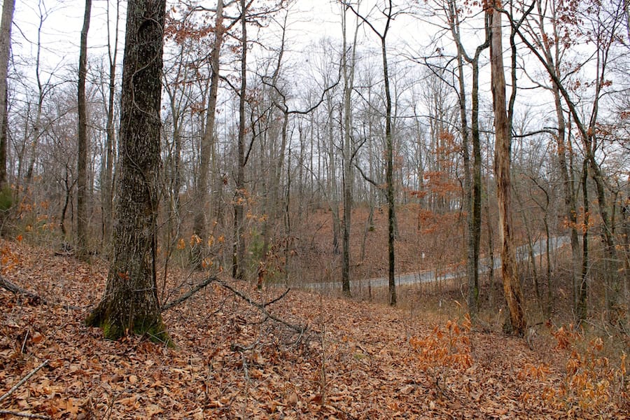 The Tennessean Tract 44 photo 10