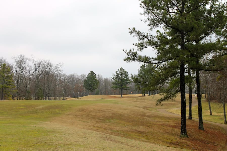 The Tennessean Tract 44 photo 14