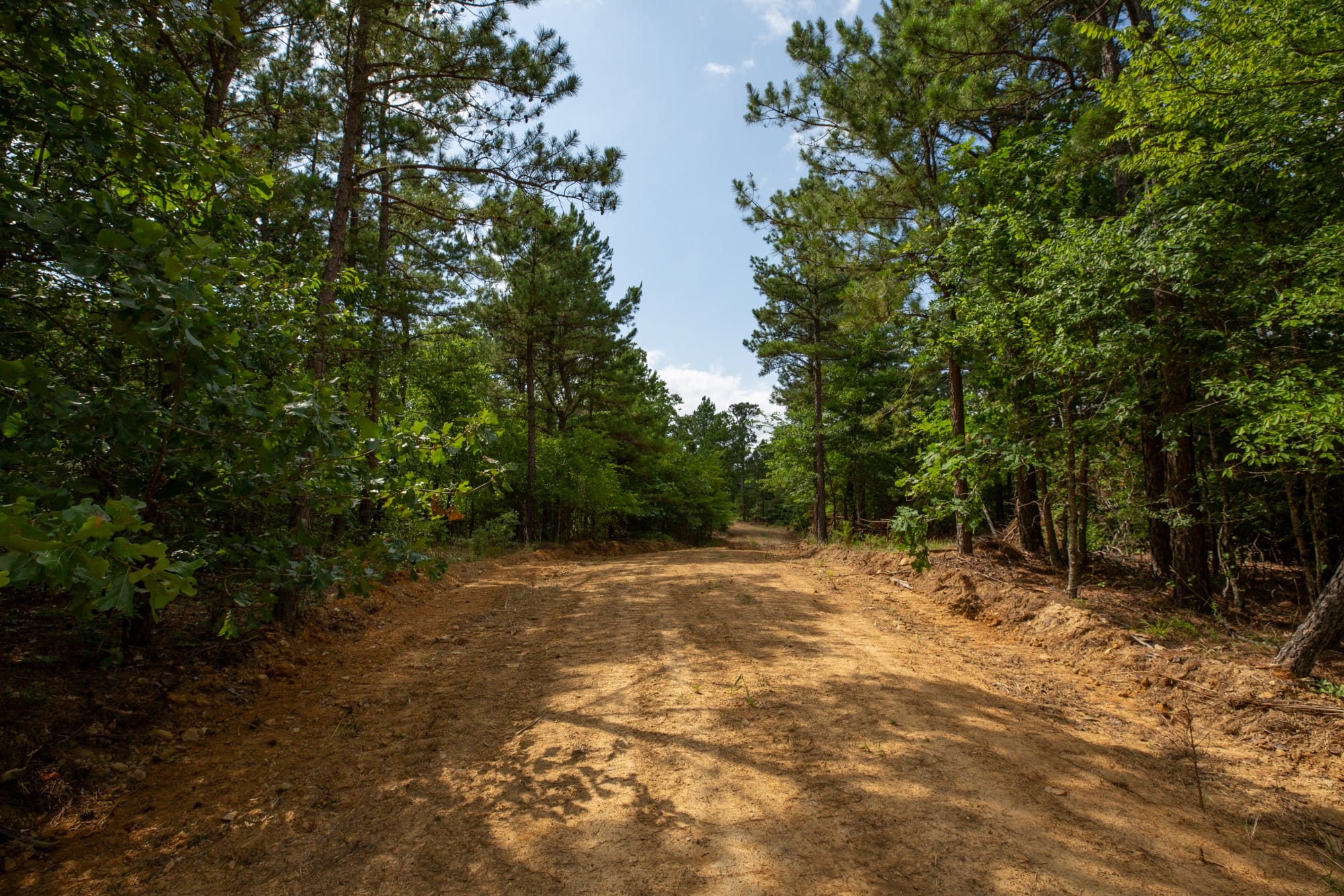 Eagle’s Nest Tract 42 photo 1
