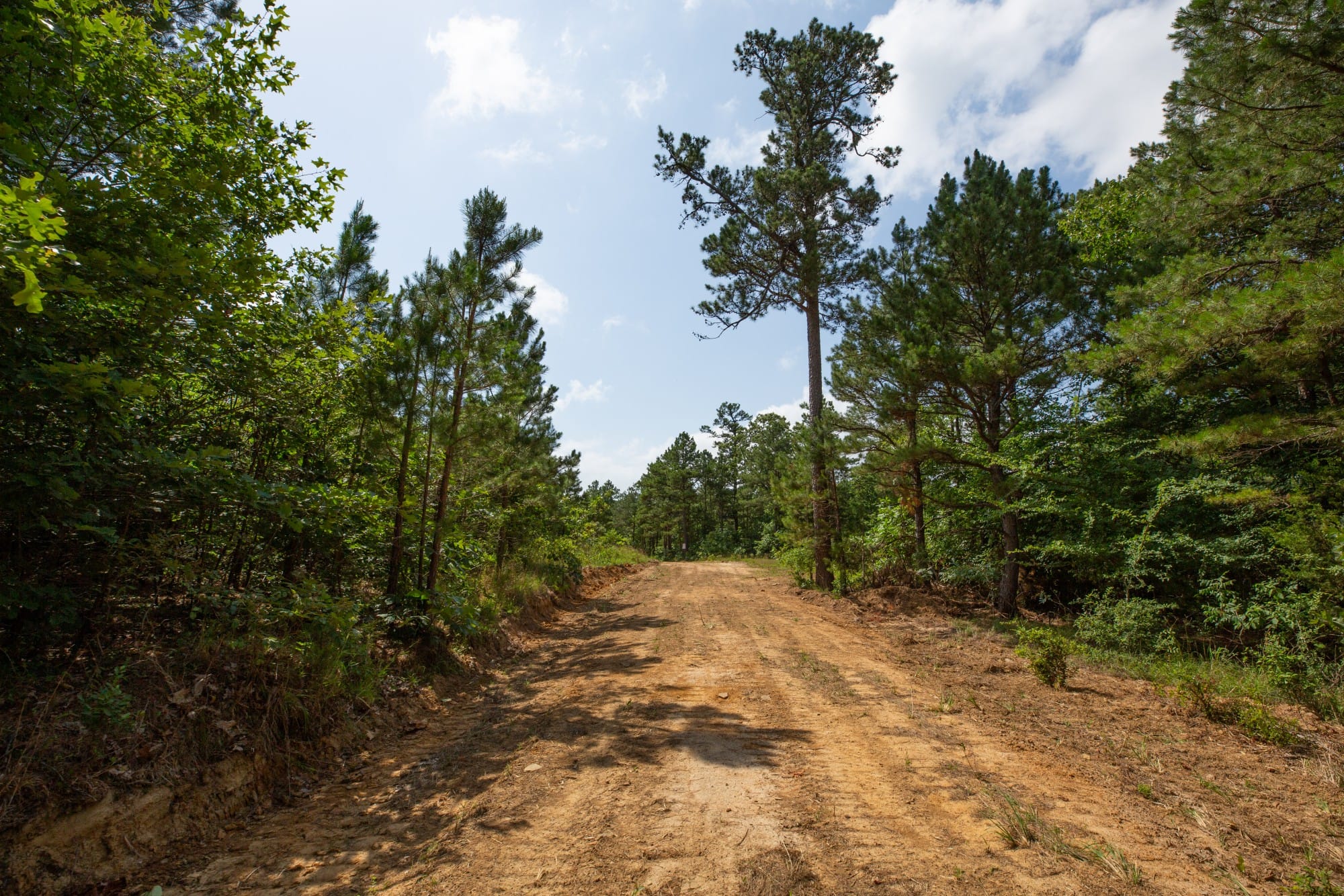Eagle’s Nest Tract 42 photo 4