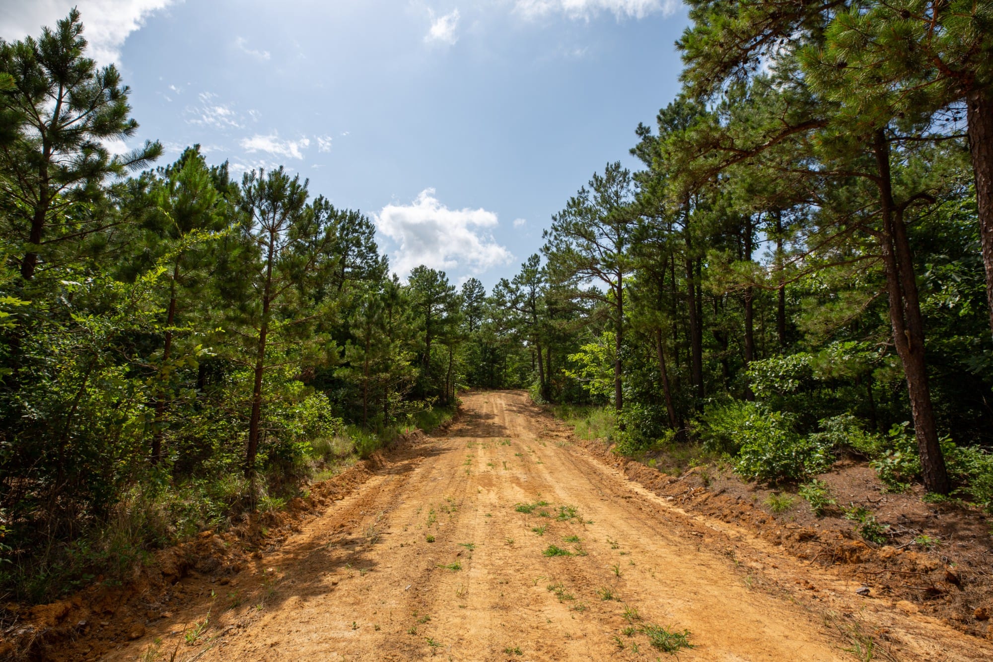 Eagle’s Nest Tract 42 photo 7