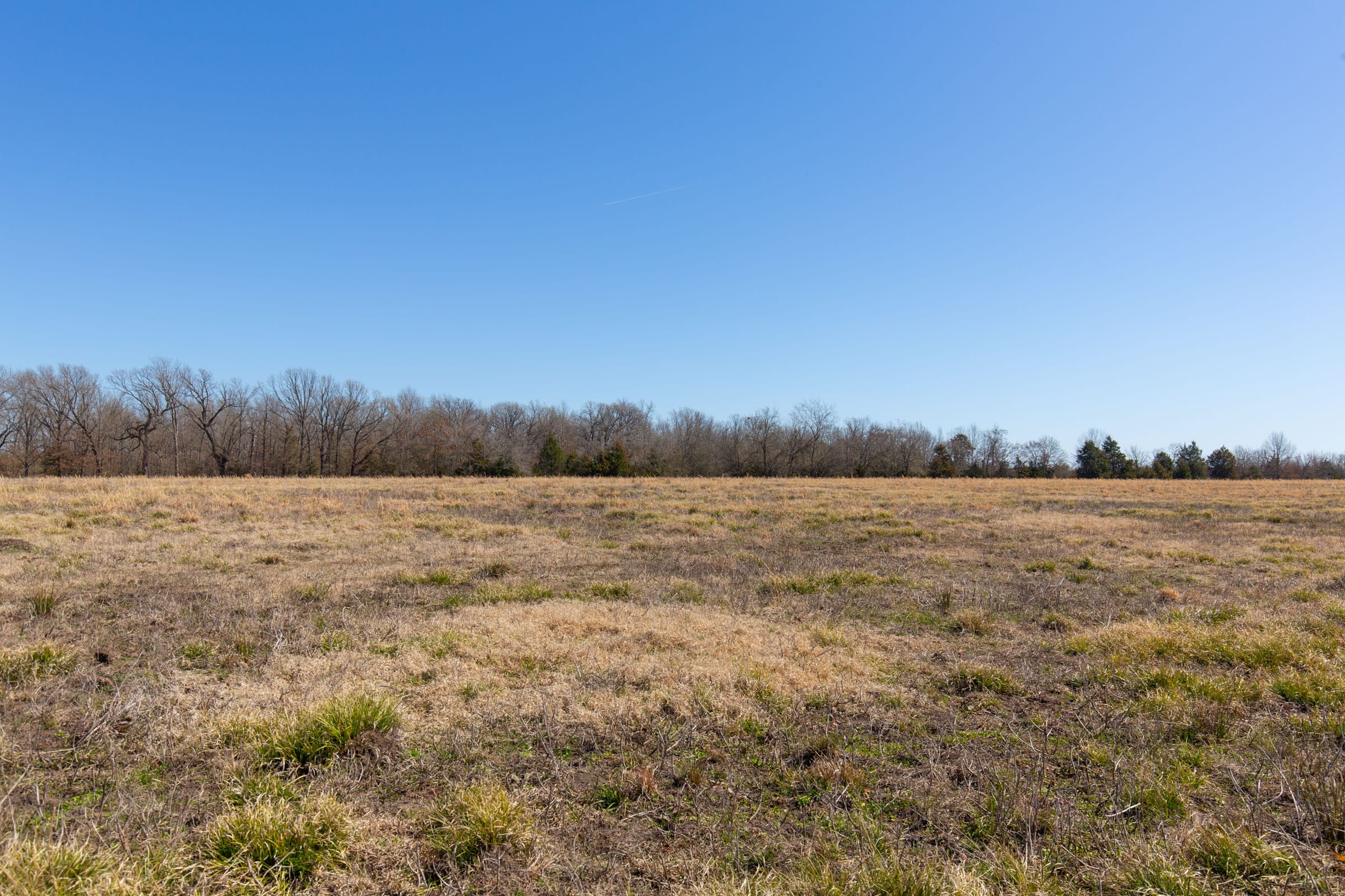 Wishing Star Ranch Tract 18 photo 3