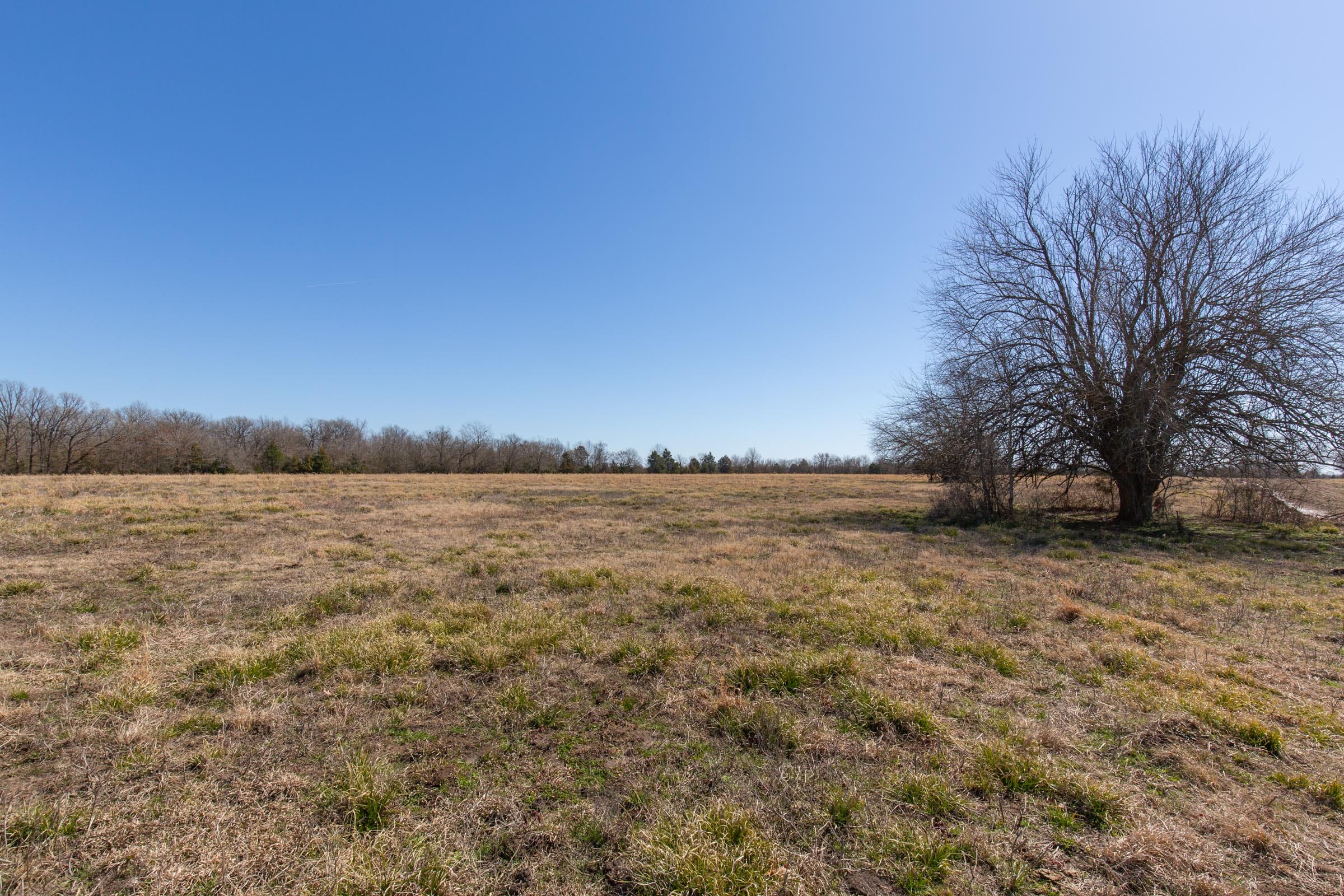 Wishing Star Ranch Tract 18 photo 4